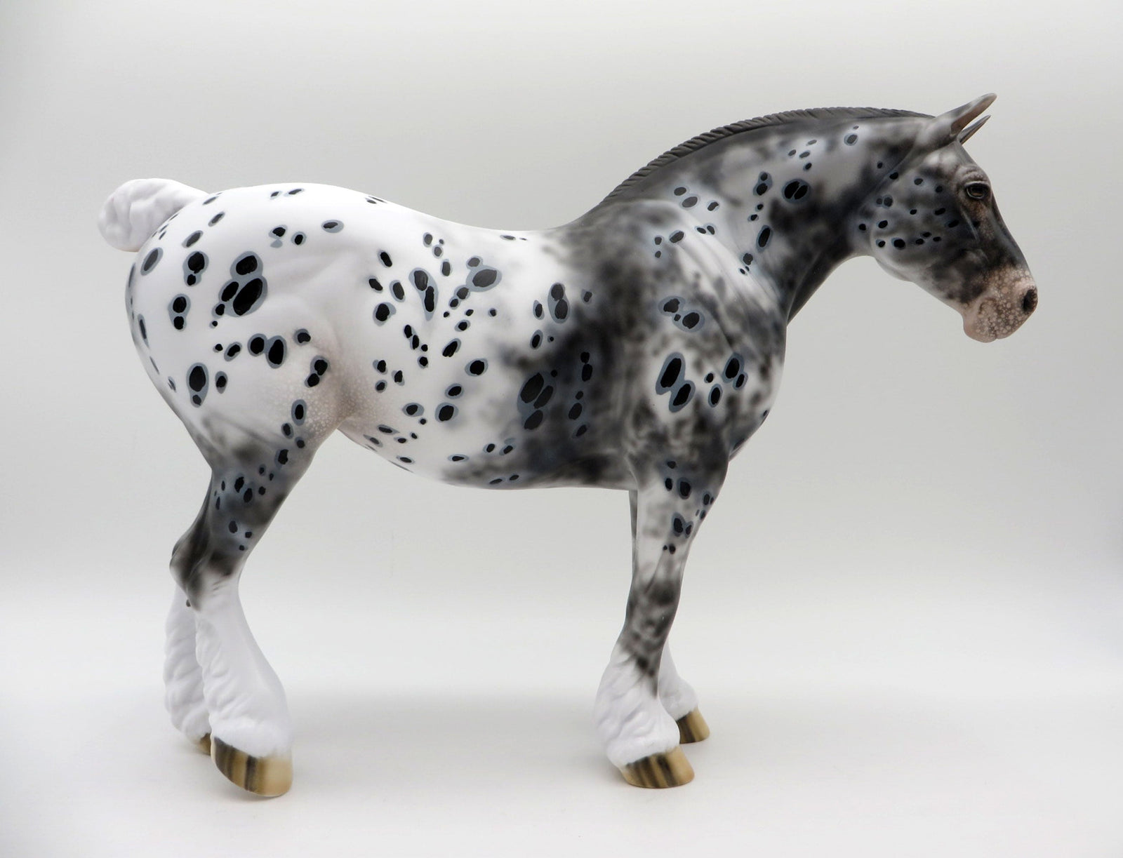 Inca-OOAK Appaloosa Heavy Draft Mare SHCF 2021