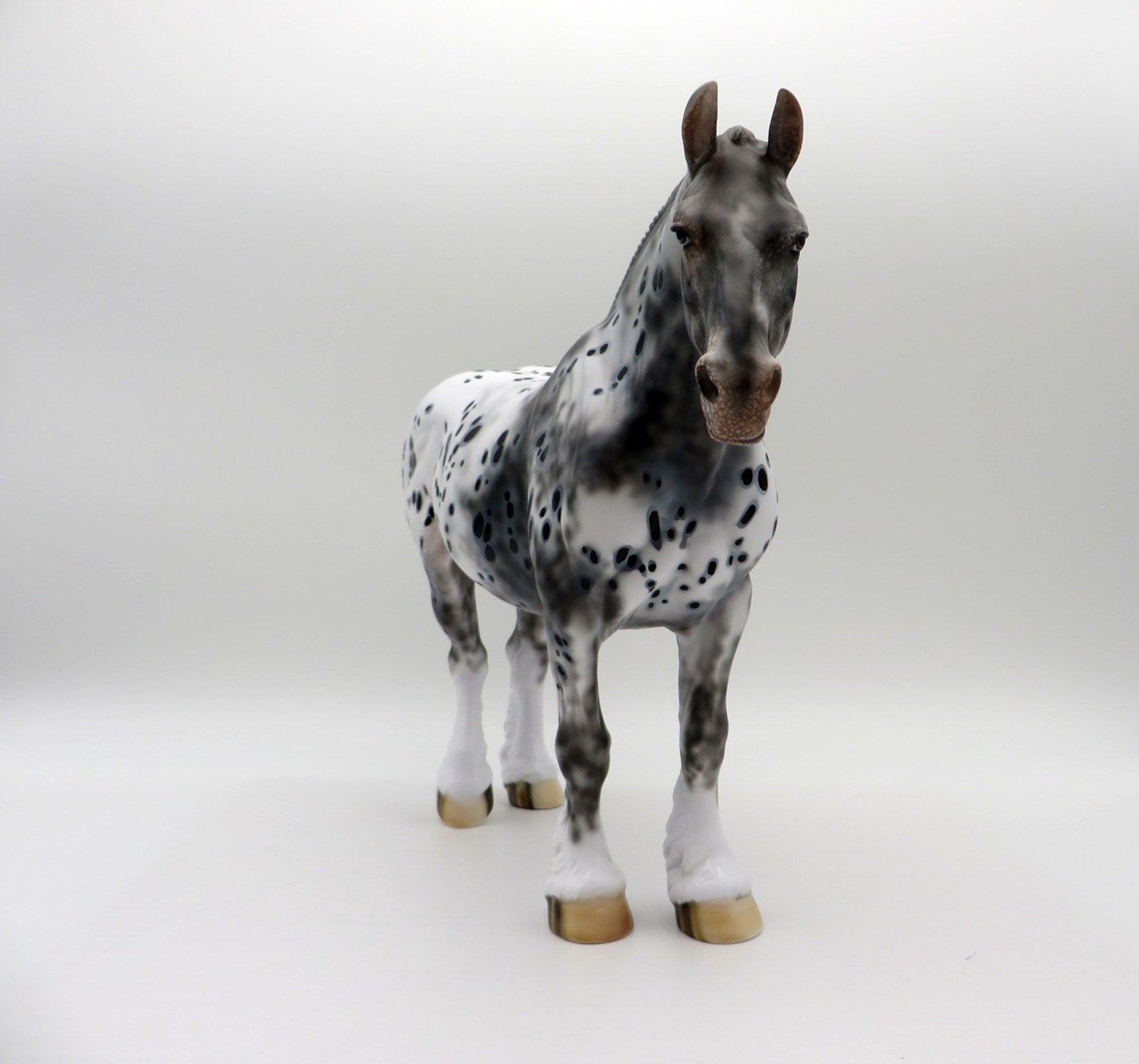 Inca-OOAK Appaloosa Heavy Draft Mare SHCF 2021