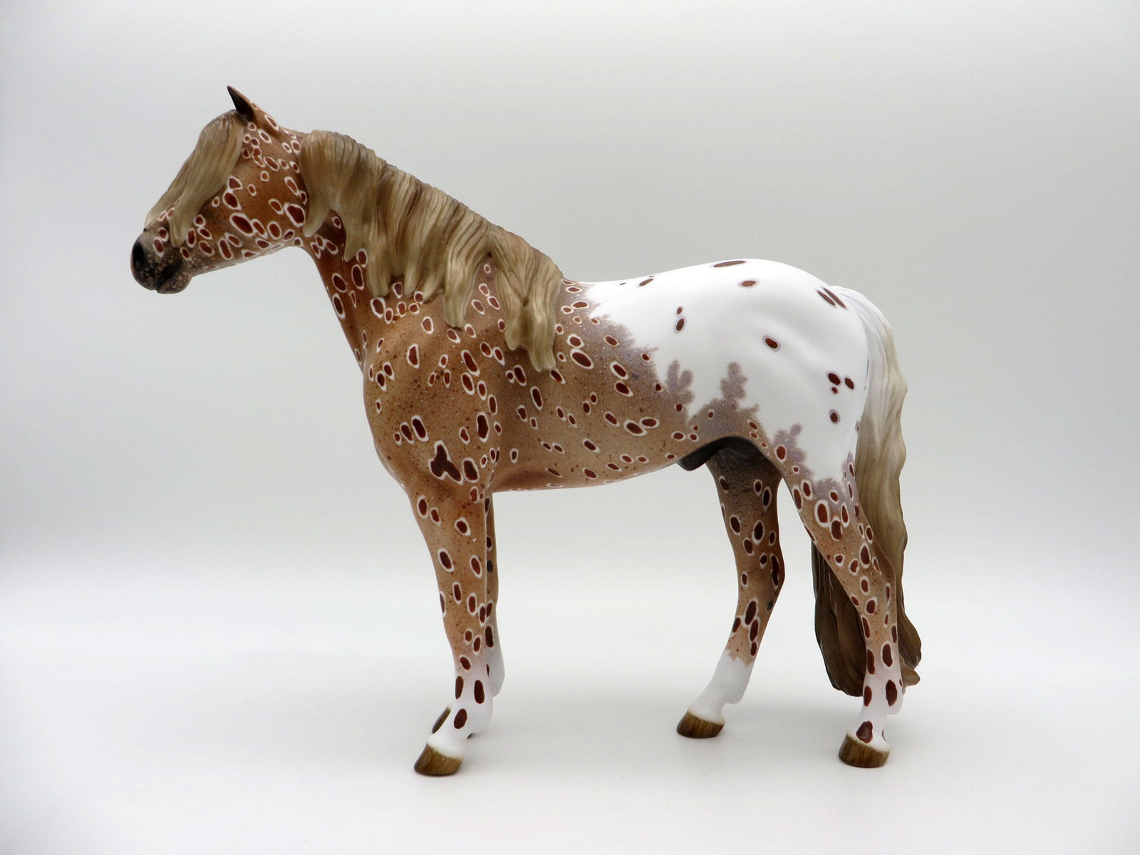 Inclement Weather-OOAK Loud Chestnut Appaloosa Mustang 5/11/21