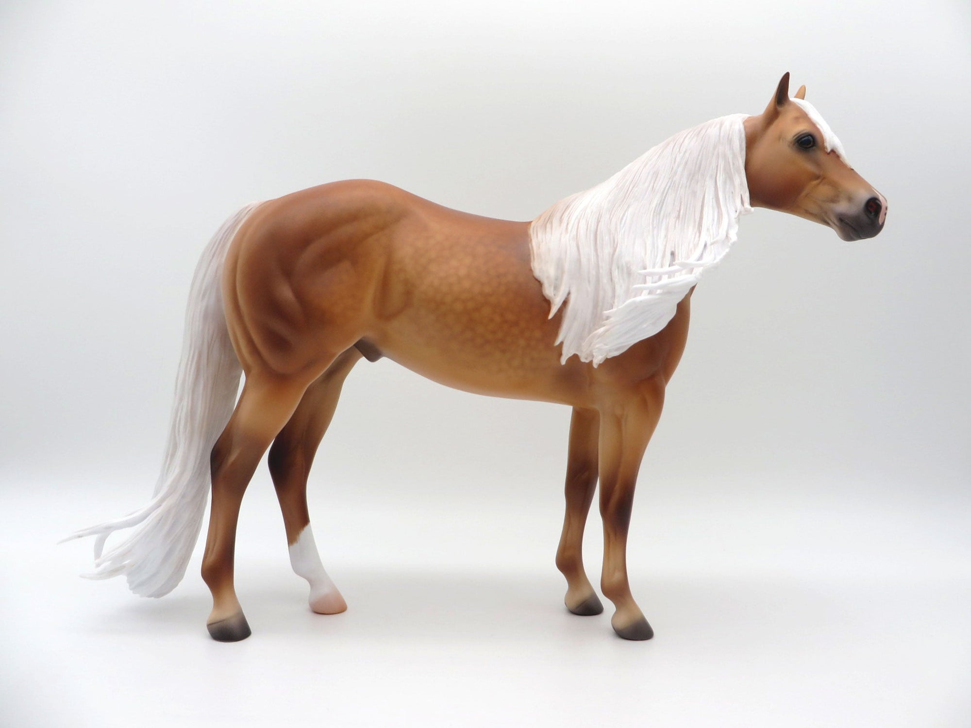 Indus-OOAK  Palomino ISH By Caroline Boydston 4/5/21
