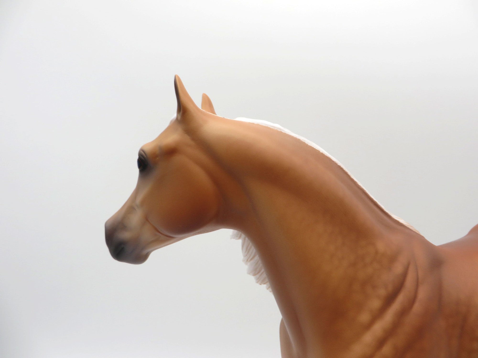 Indus-OOAK  Palomino ISH By Caroline Boydston 4/5/21