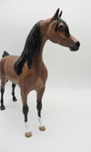 Infinity - OOAK - Dappled Bay Arabian By Sheryl Leisure - Best Offers 3/6/23