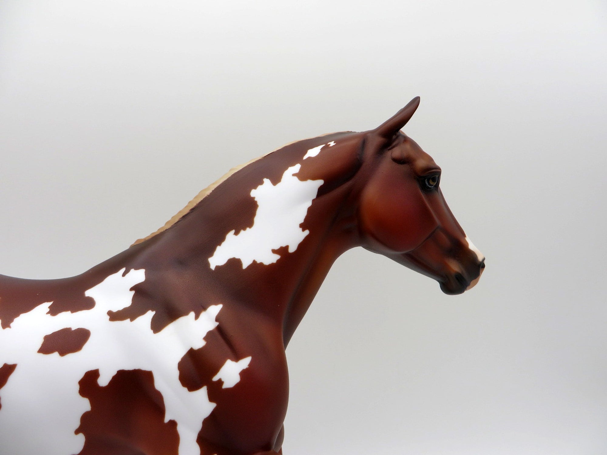 Ingmar-OOAK Chestnut Overo Foundation Quarter Horse Painted By Julie  EQ 21