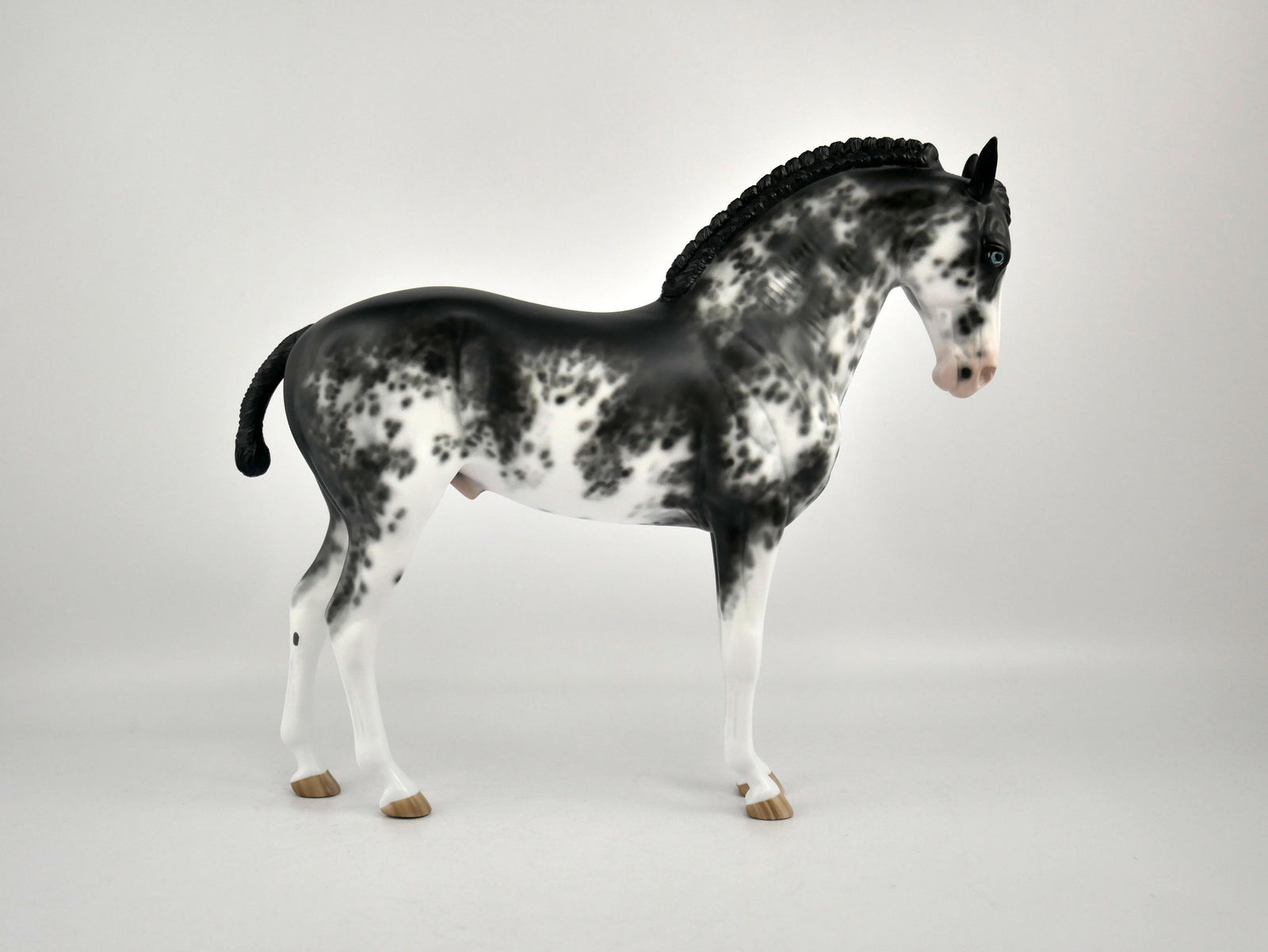 INIGO -OOAK BLACK SABINO ANDY BY SHERYL LEISURE 12/03/20