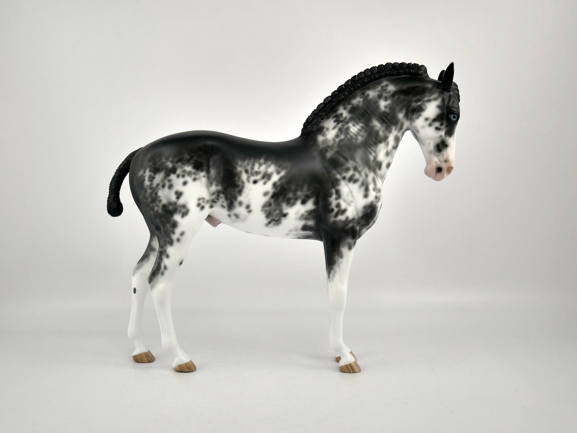 INIGO -OOAK BLACK SABINO ANDY BY SHERYL LEISURE 12/03/20