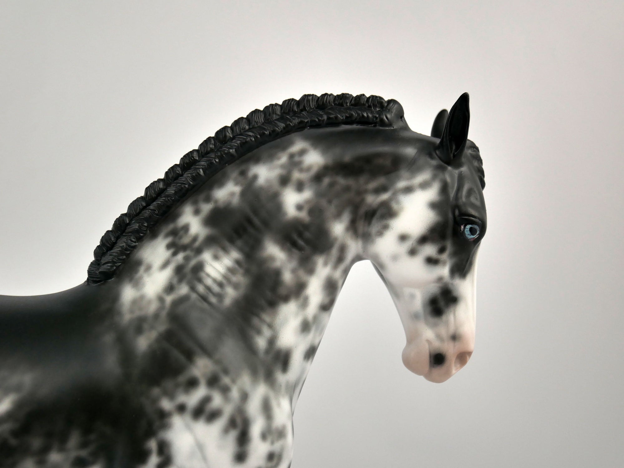 INIGO -OOAK BLACK SABINO ANDY BY SHERYL LEISURE 12/03/20