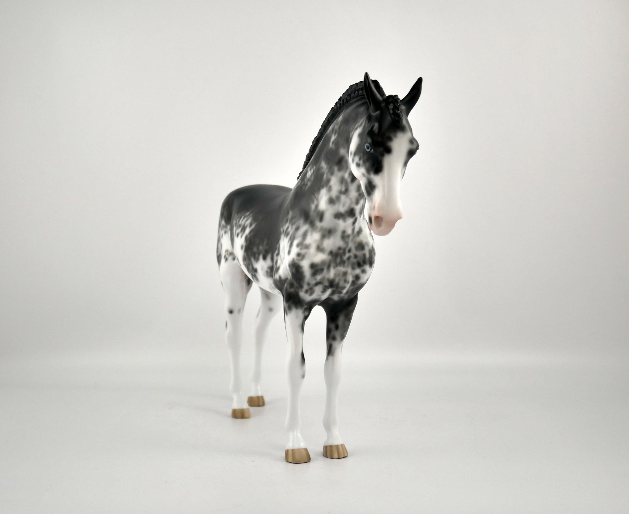 INIGO -OOAK BLACK SABINO ANDY BY SHERYL LEISURE 12/03/20