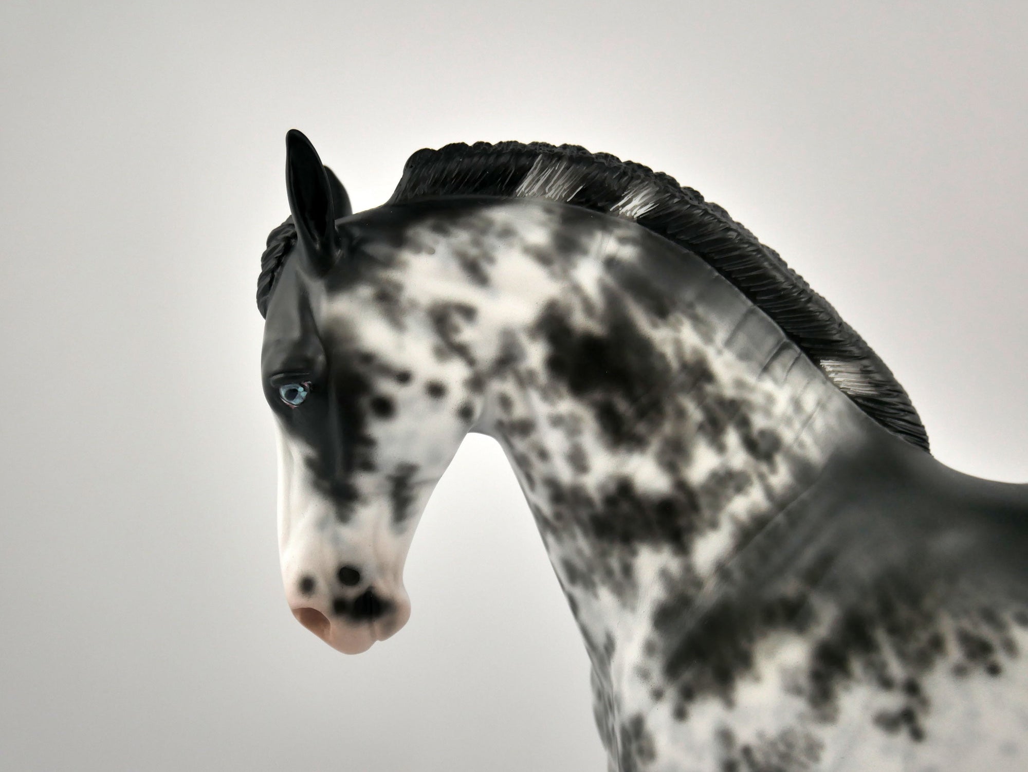 INIGO -OOAK BLACK SABINO ANDY BY SHERYL LEISURE 12/03/20