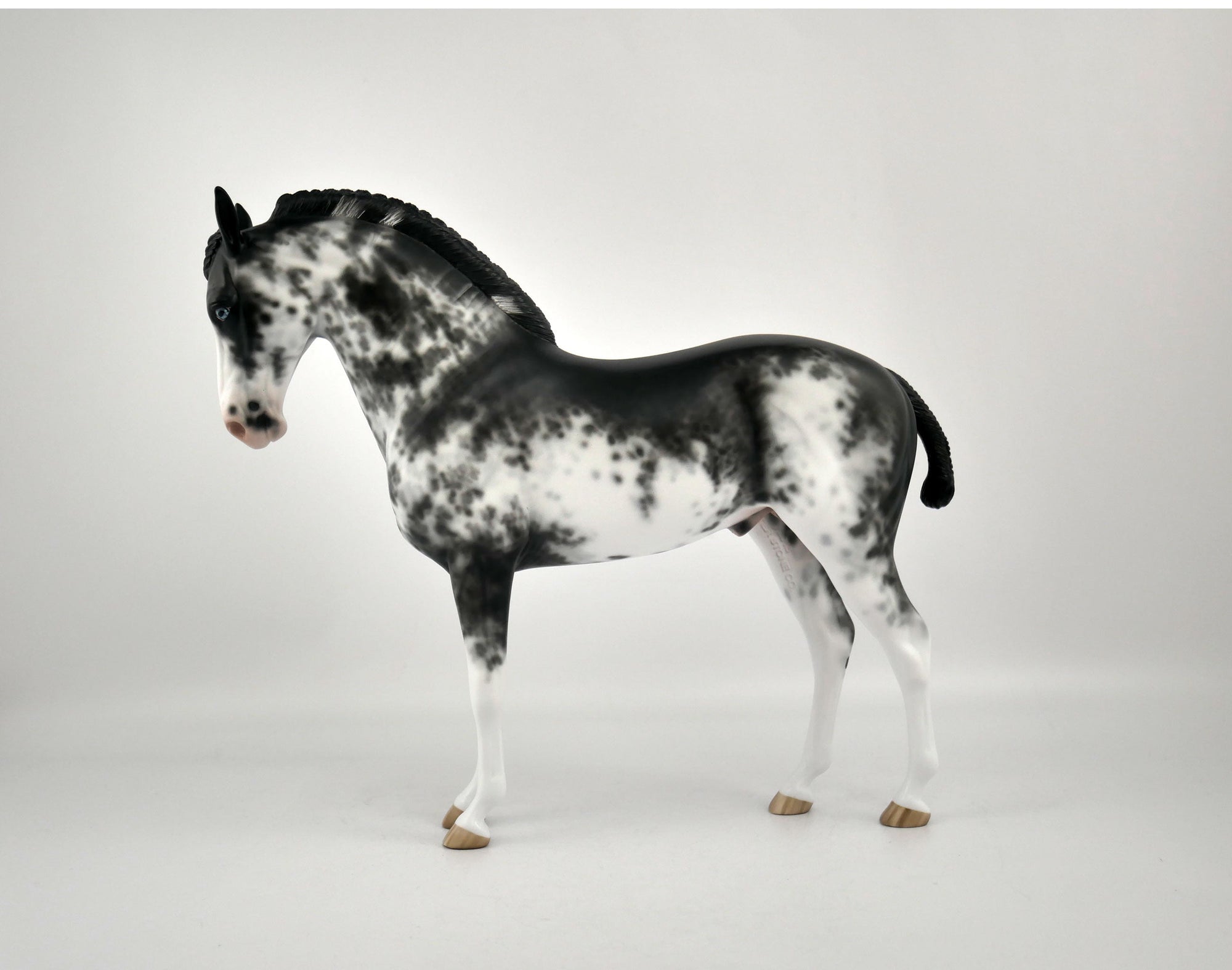 INIGO -OOAK BLACK SABINO ANDY BY SHERYL LEISURE 12/03/20