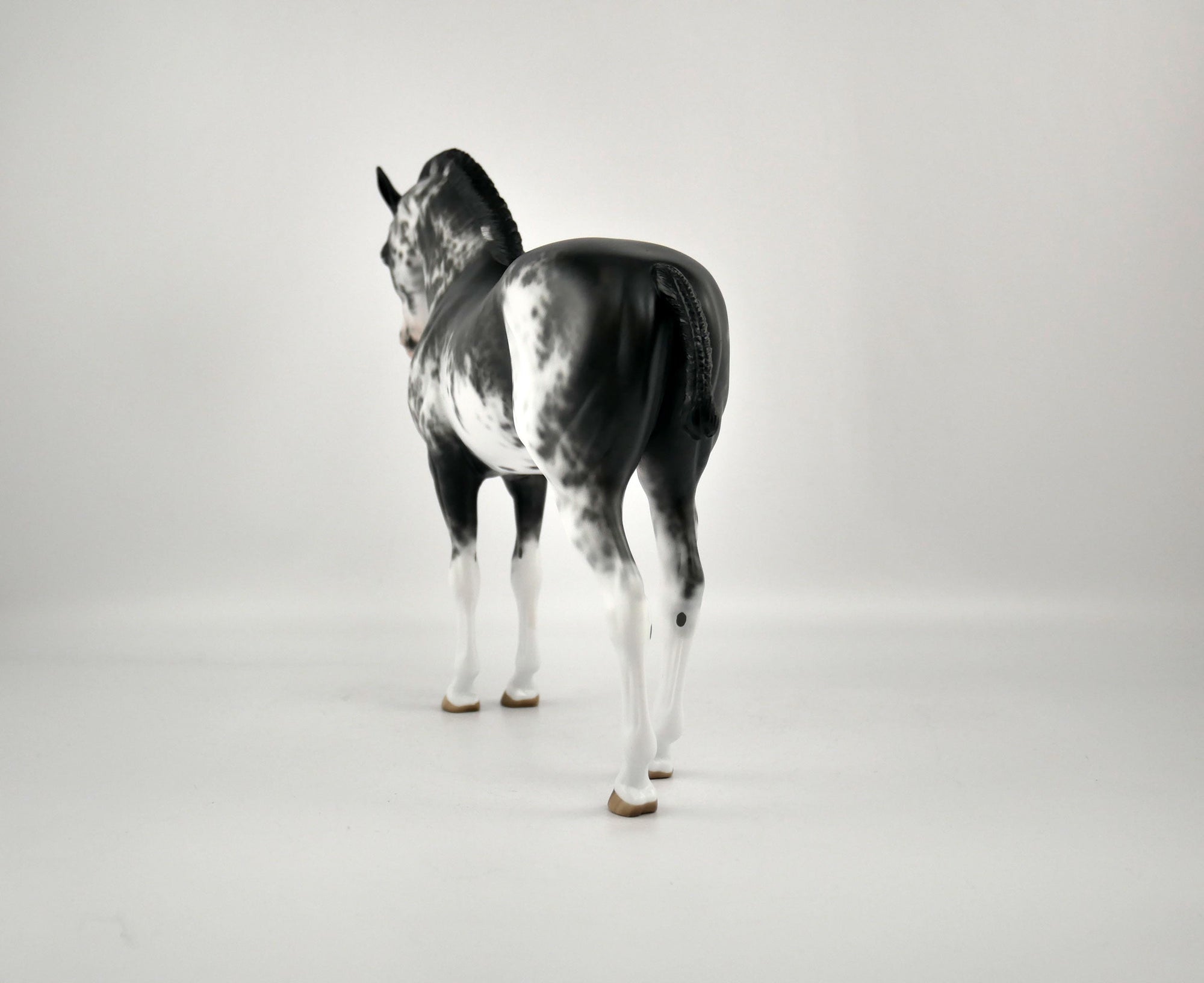 INIGO -OOAK BLACK SABINO ANDY BY SHERYL LEISURE 12/03/20