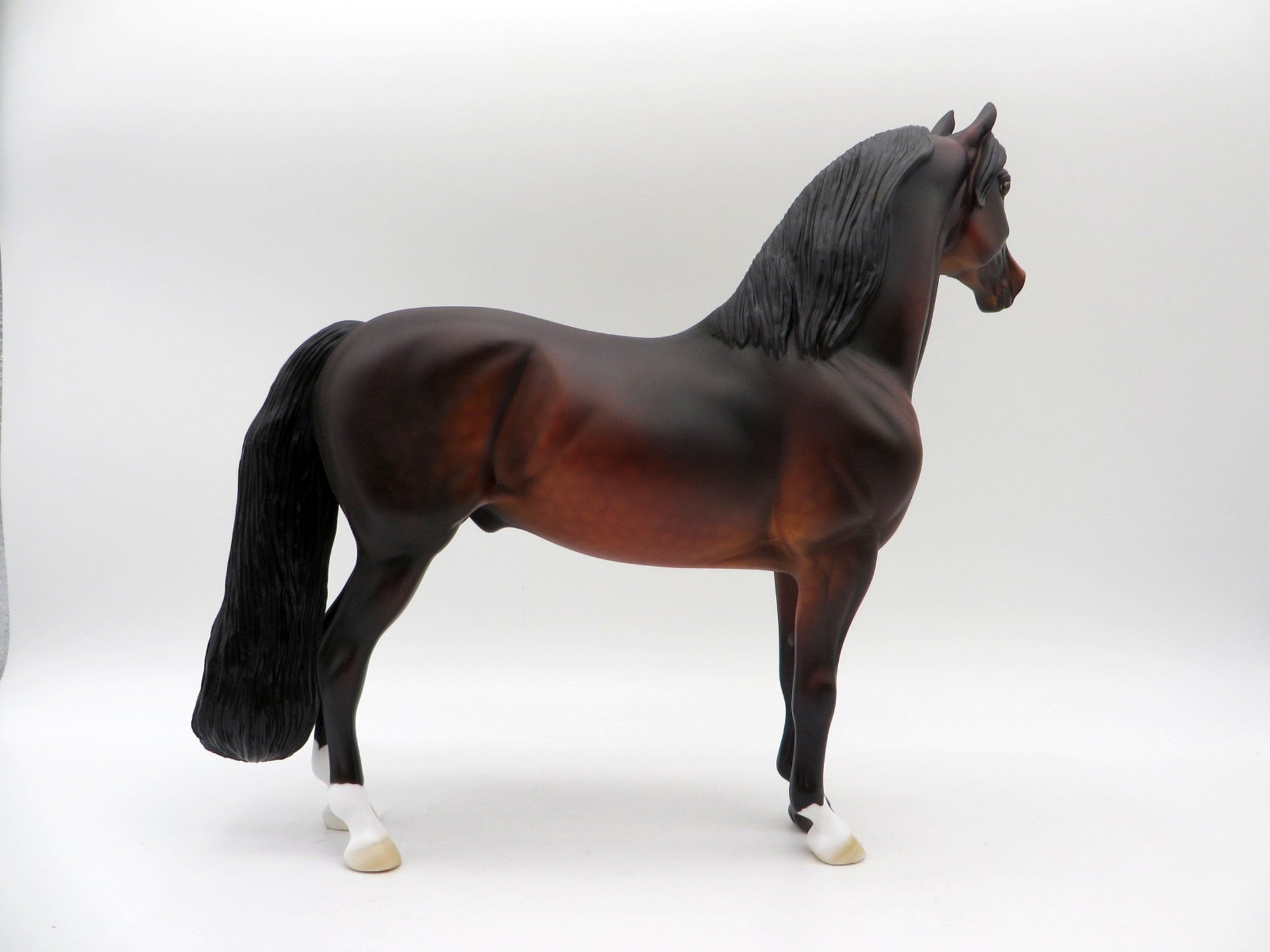 Insignia-OOAK Dapple Bay Morgan  5/21/21