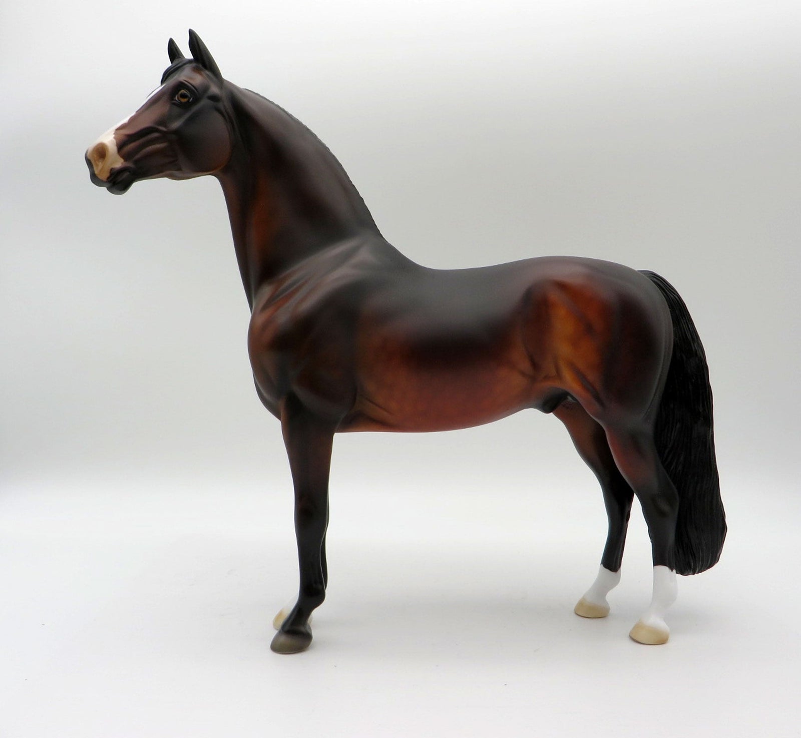 Insignia-OOAK Dapple Bay Morgan  5/21/21