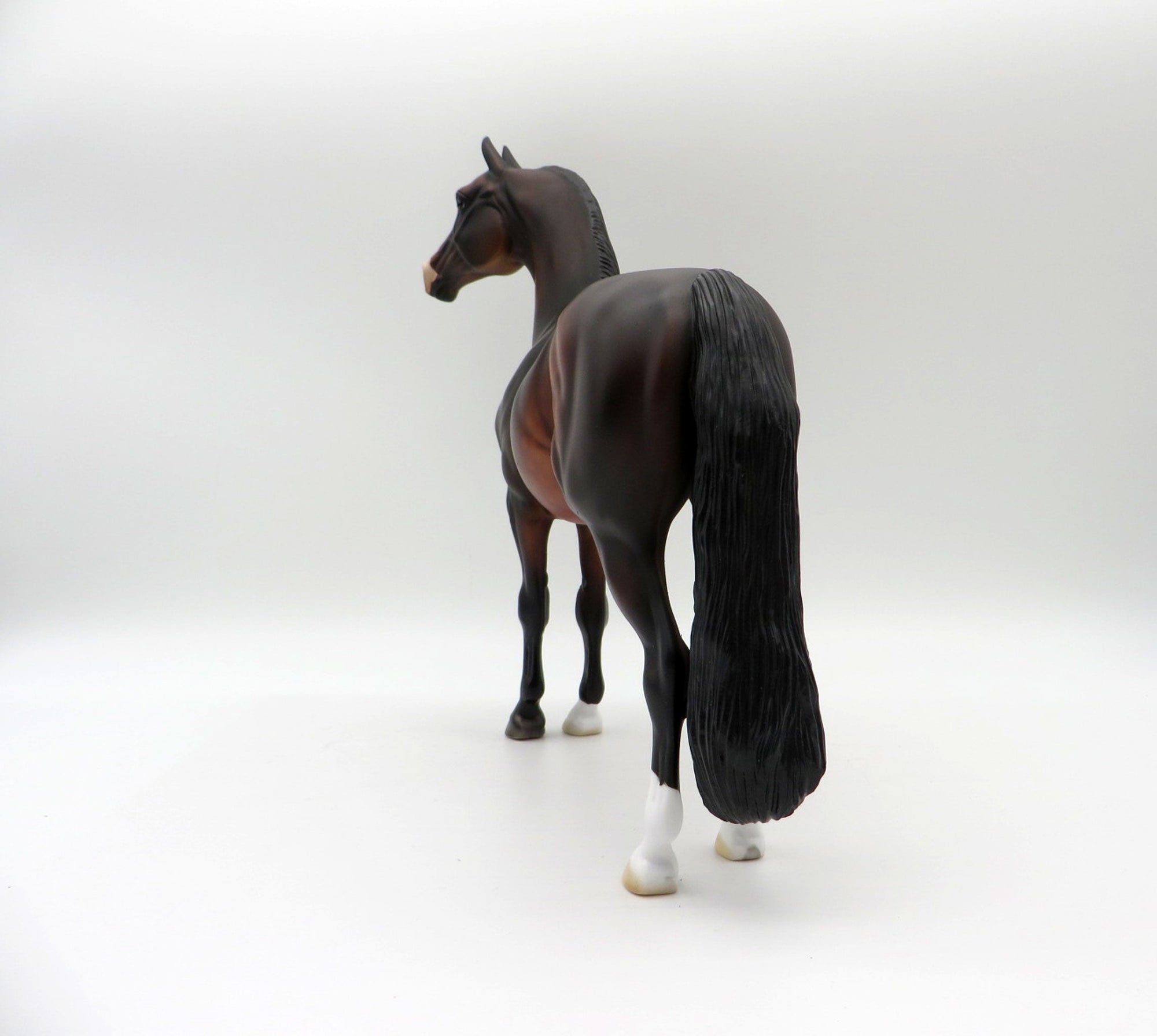 Insignia-OOAK Dapple Bay Morgan  5/21/21