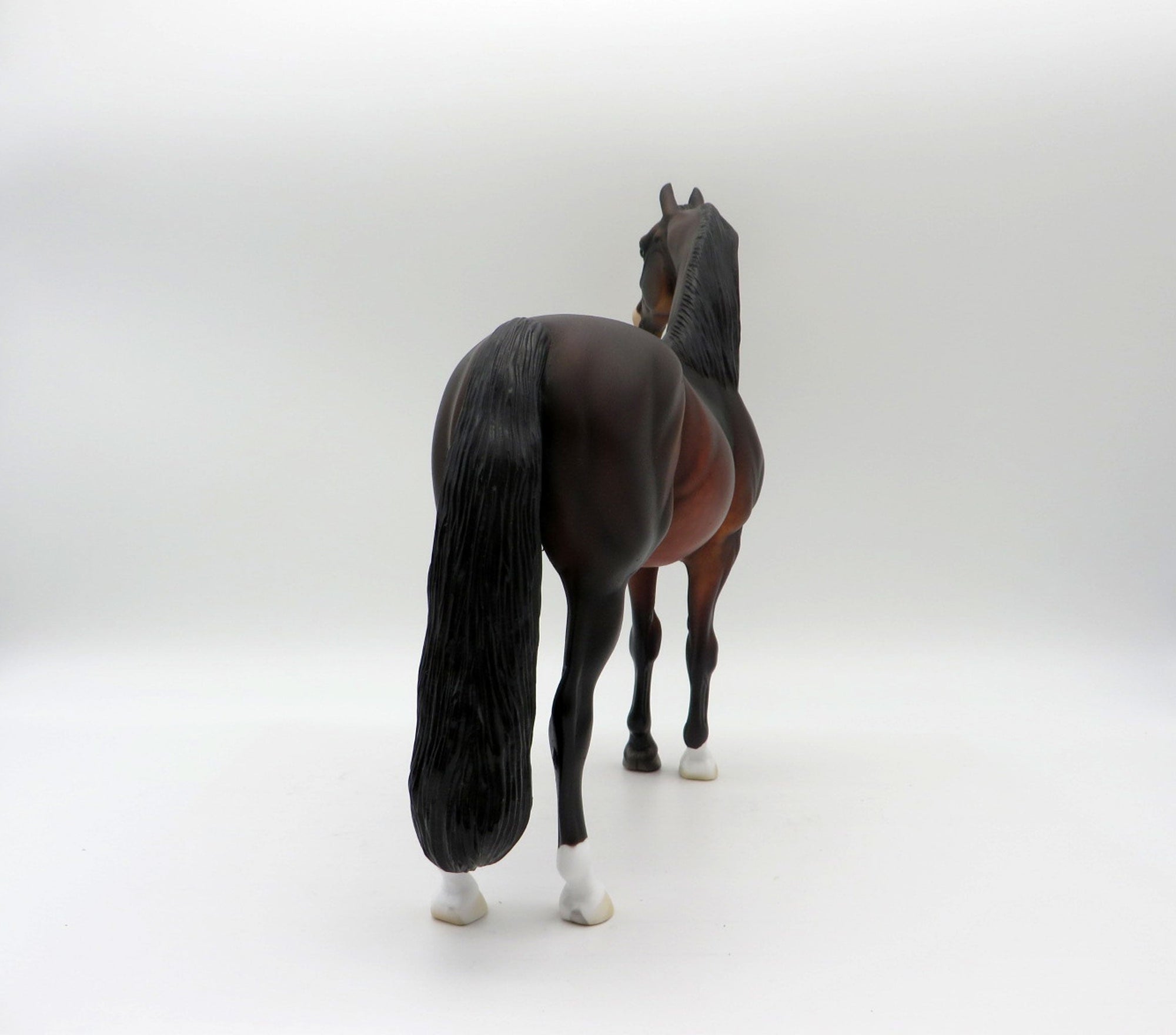 Insignia-OOAK Dapple Bay Morgan  5/21/21