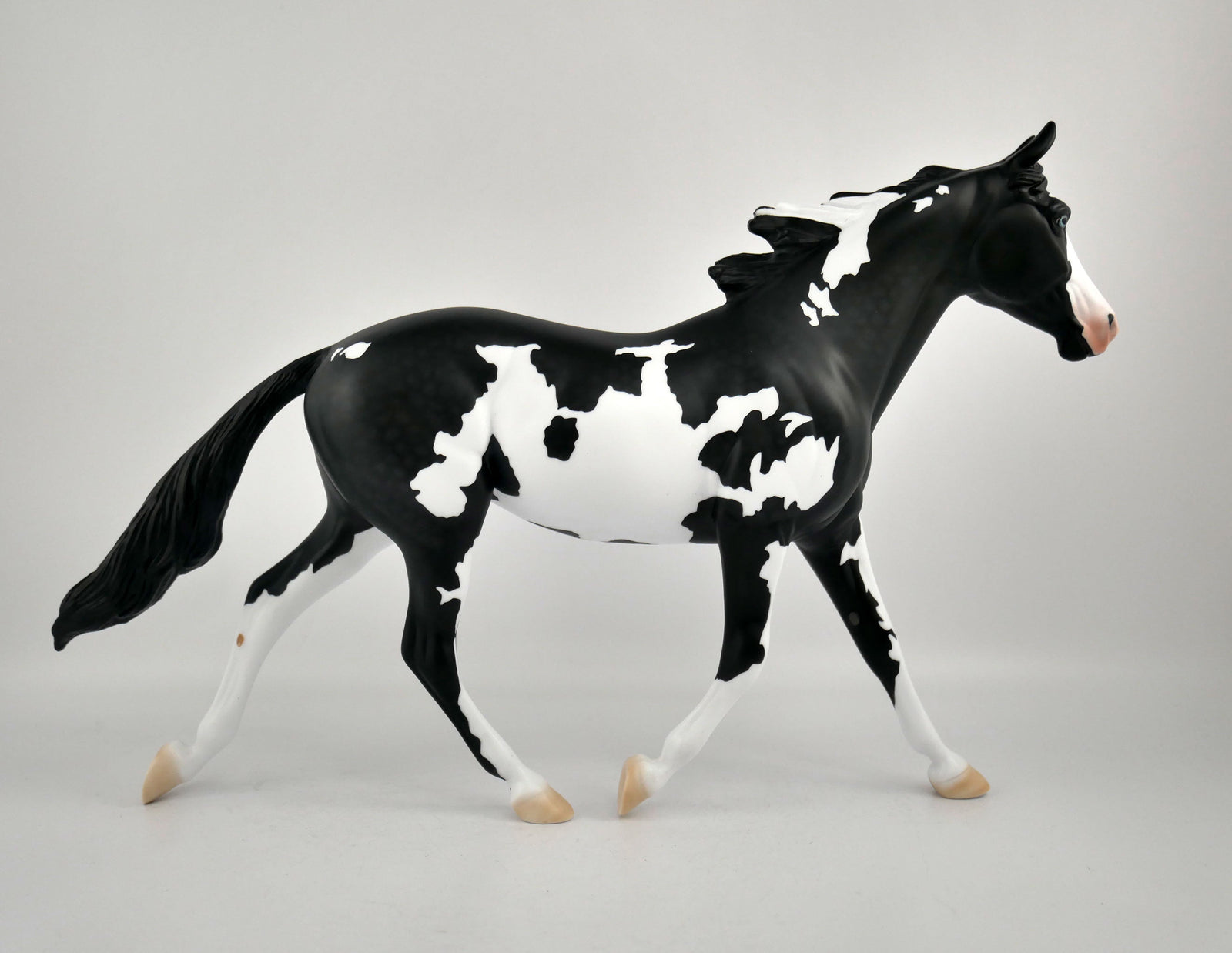 INVERSE-OOAK BLACK TOVERO PALOOSE BY ELLEN ROBBINS 12/09/20