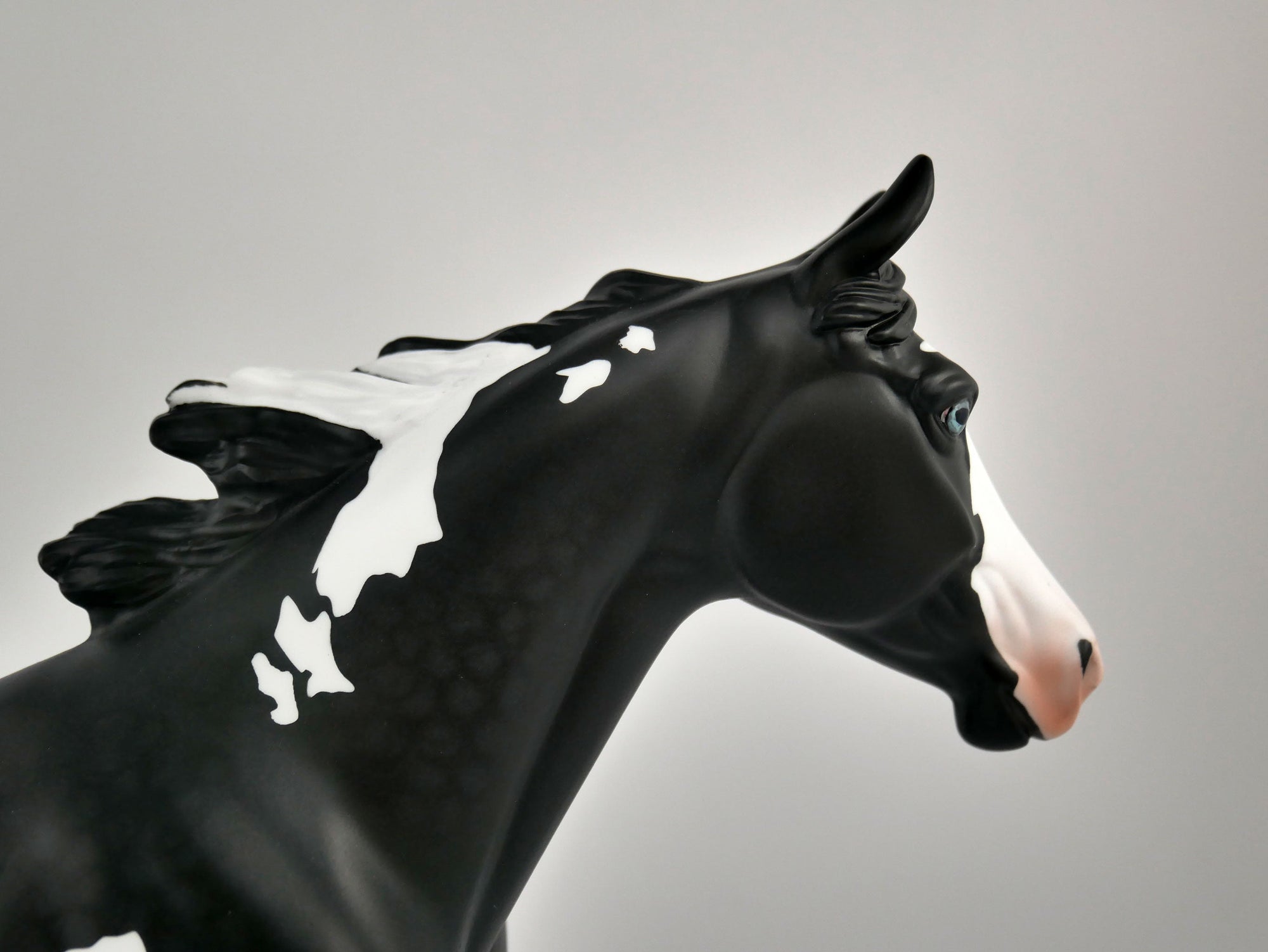 INVERSE-OOAK BLACK TOVERO PALOOSE BY ELLEN ROBBINS 12/09/20