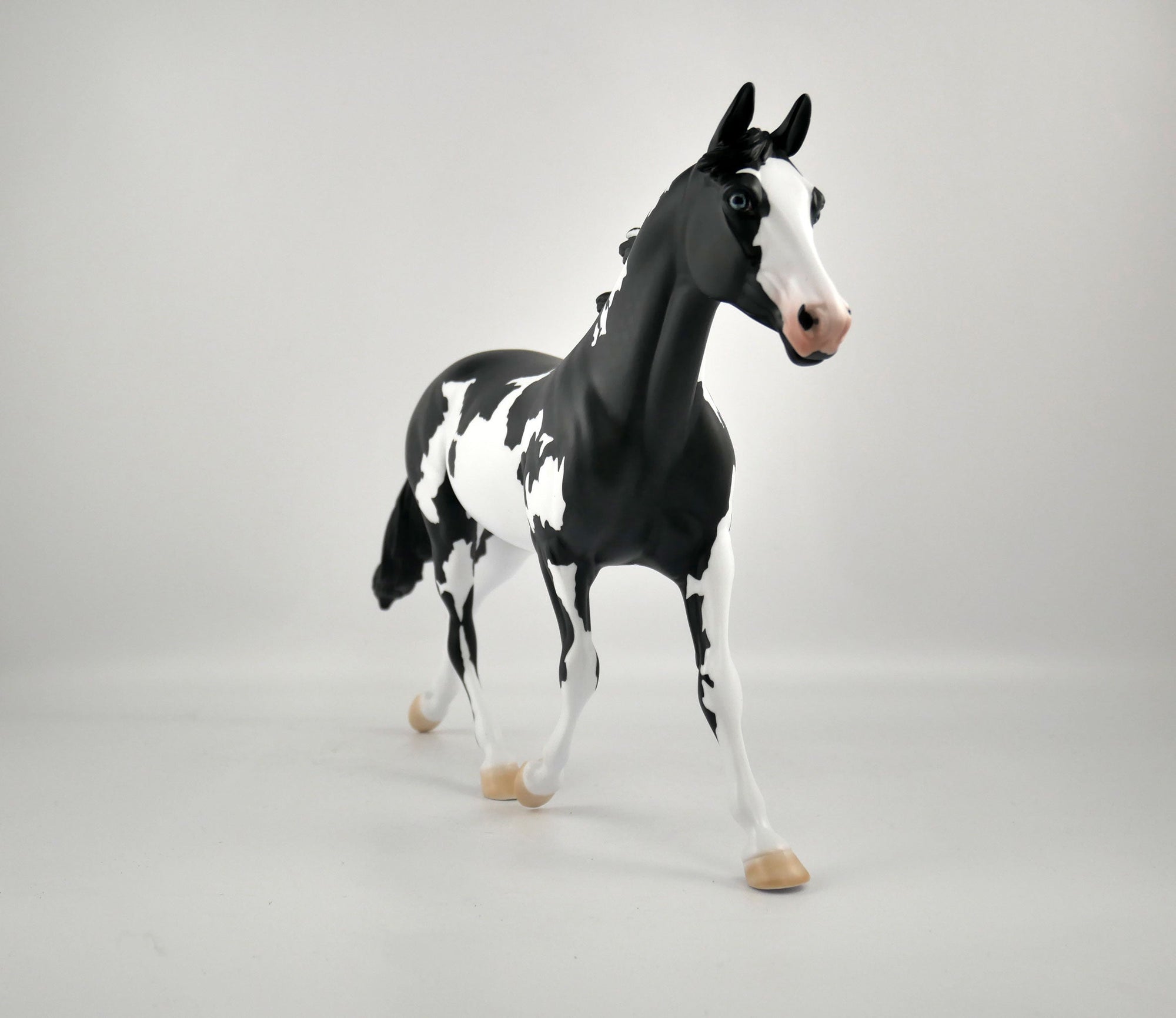 INVERSE-OOAK BLACK TOVERO PALOOSE BY ELLEN ROBBINS 12/09/20