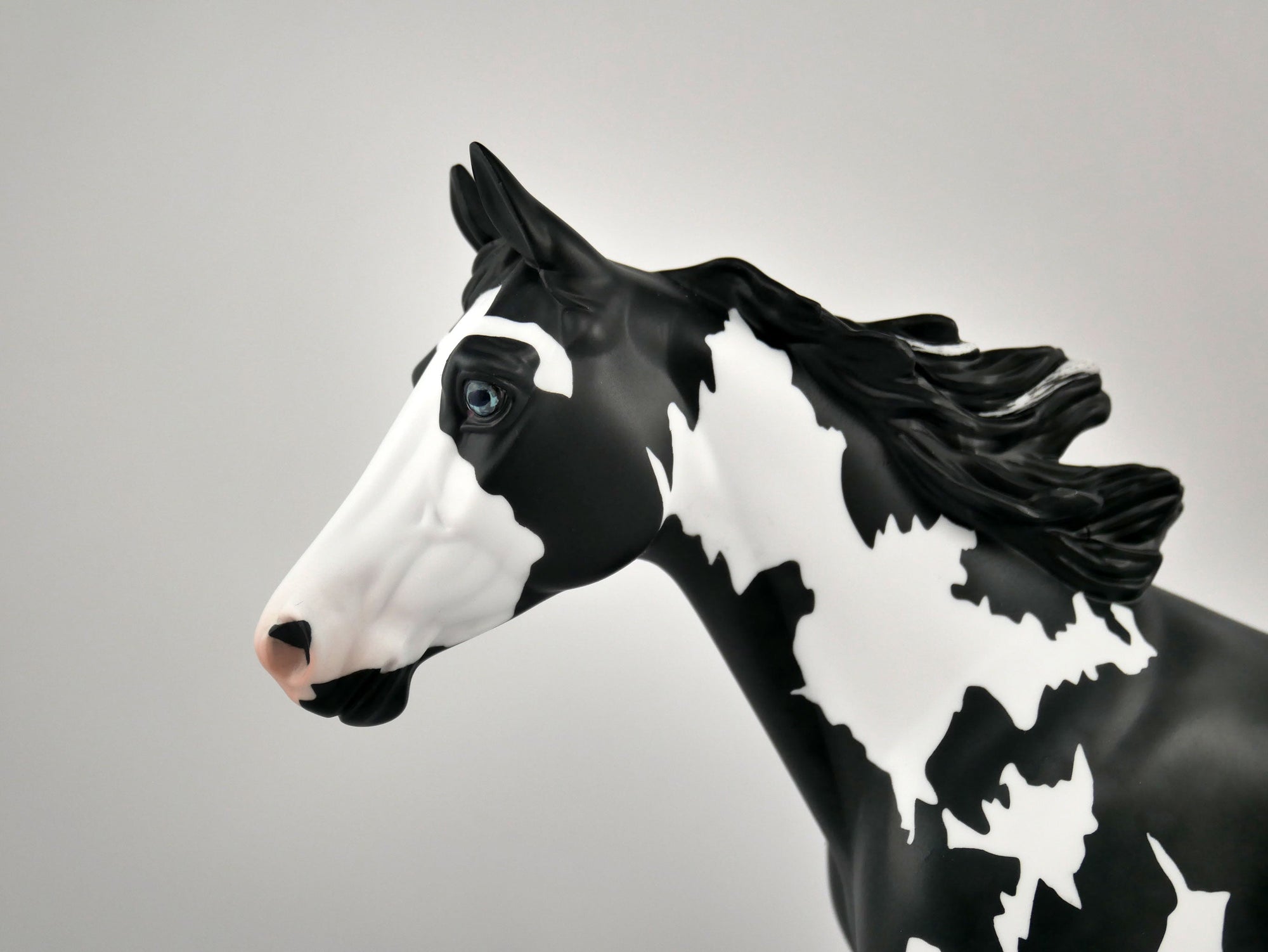 INVERSE-OOAK BLACK TOVERO PALOOSE BY ELLEN ROBBINS 12/09/20