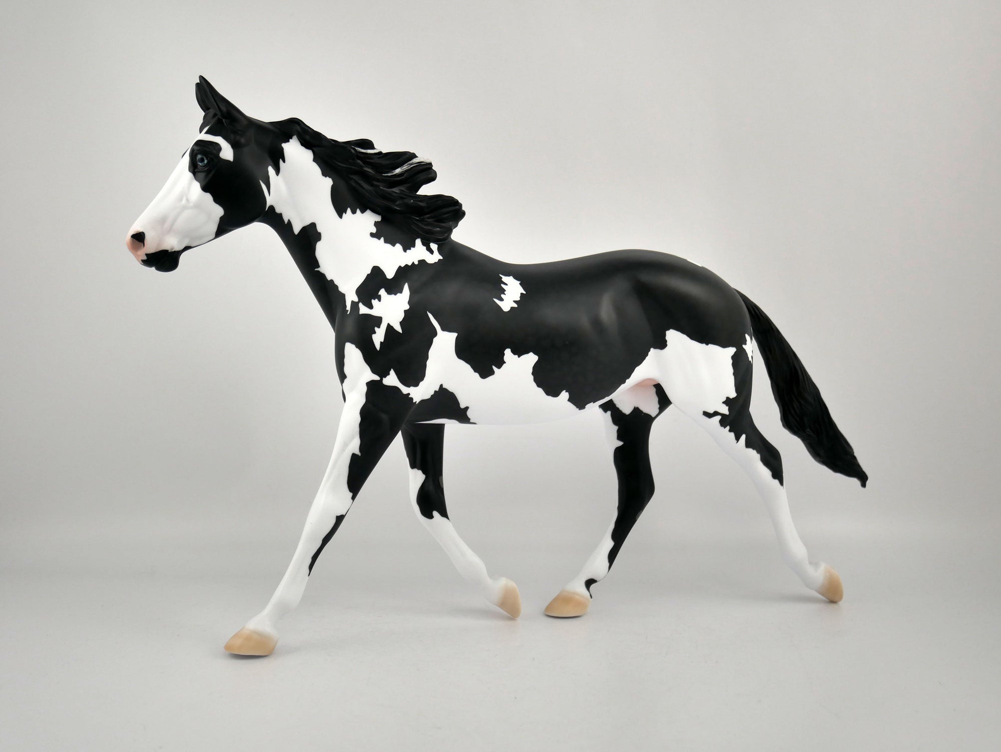 INVERSE-OOAK BLACK TOVERO PALOOSE BY ELLEN ROBBINS 12/09/20