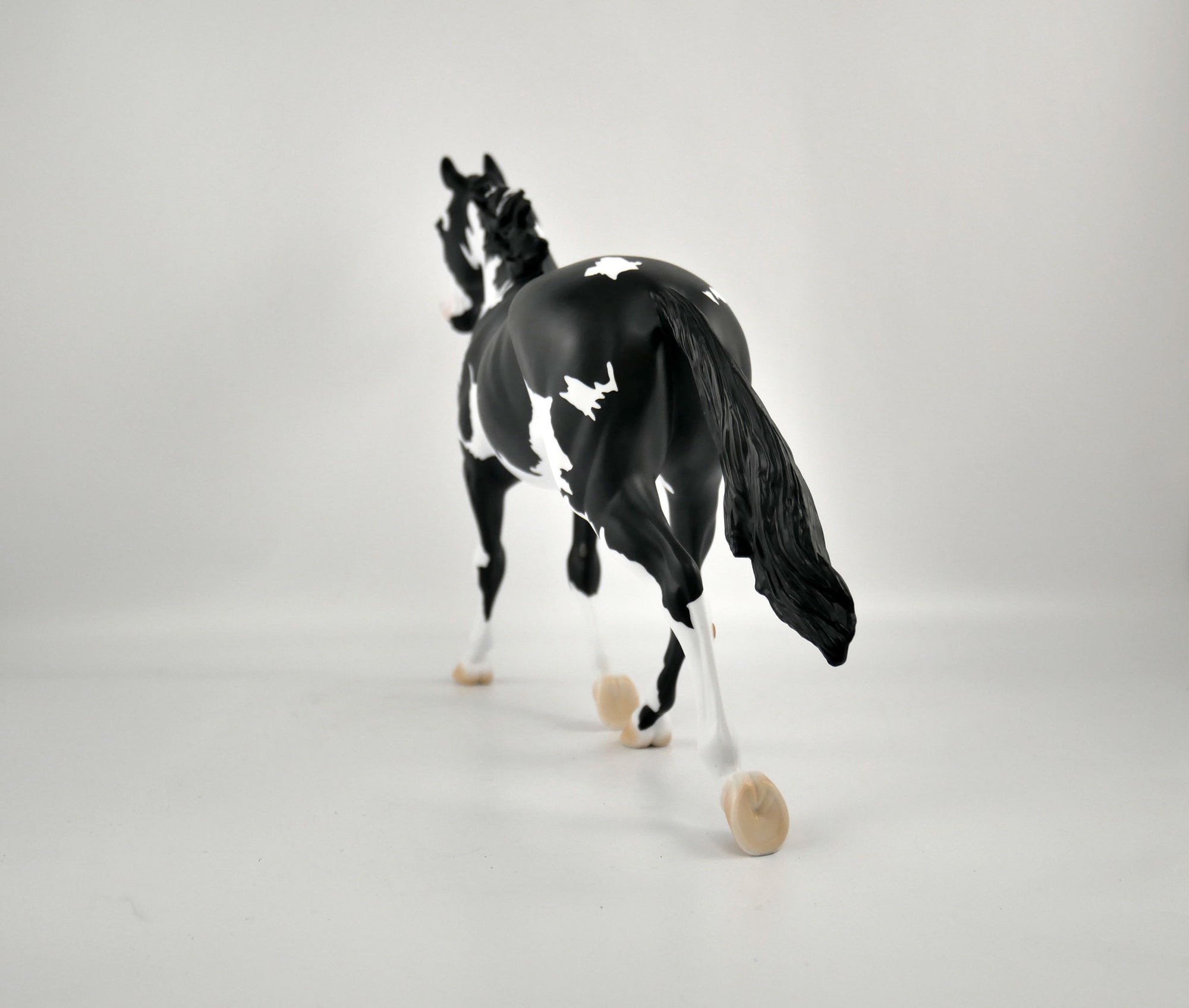 INVERSE-OOAK BLACK TOVERO PALOOSE BY ELLEN ROBBINS 12/09/20