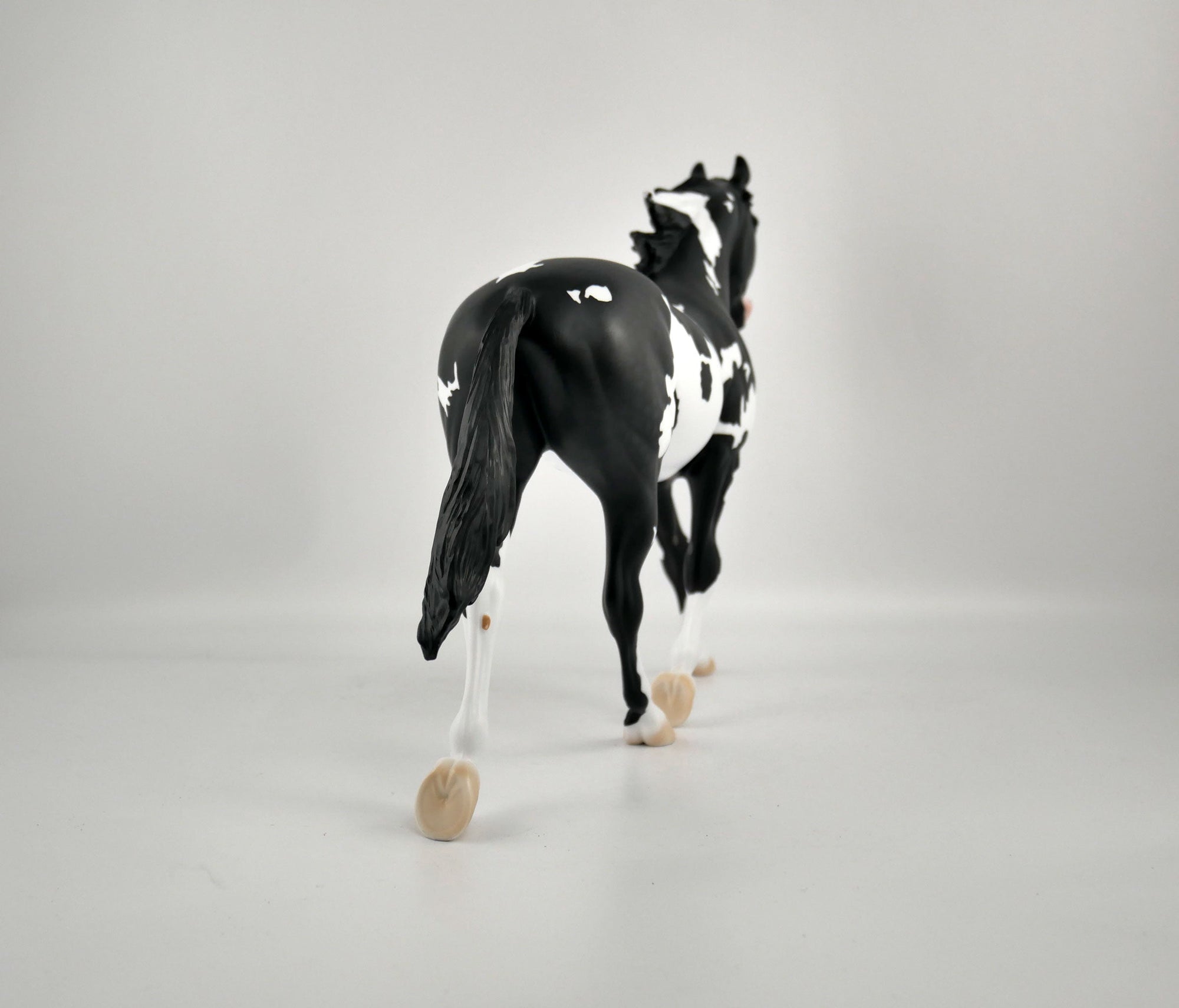 INVERSE-OOAK BLACK TOVERO PALOOSE BY ELLEN ROBBINS 12/09/20