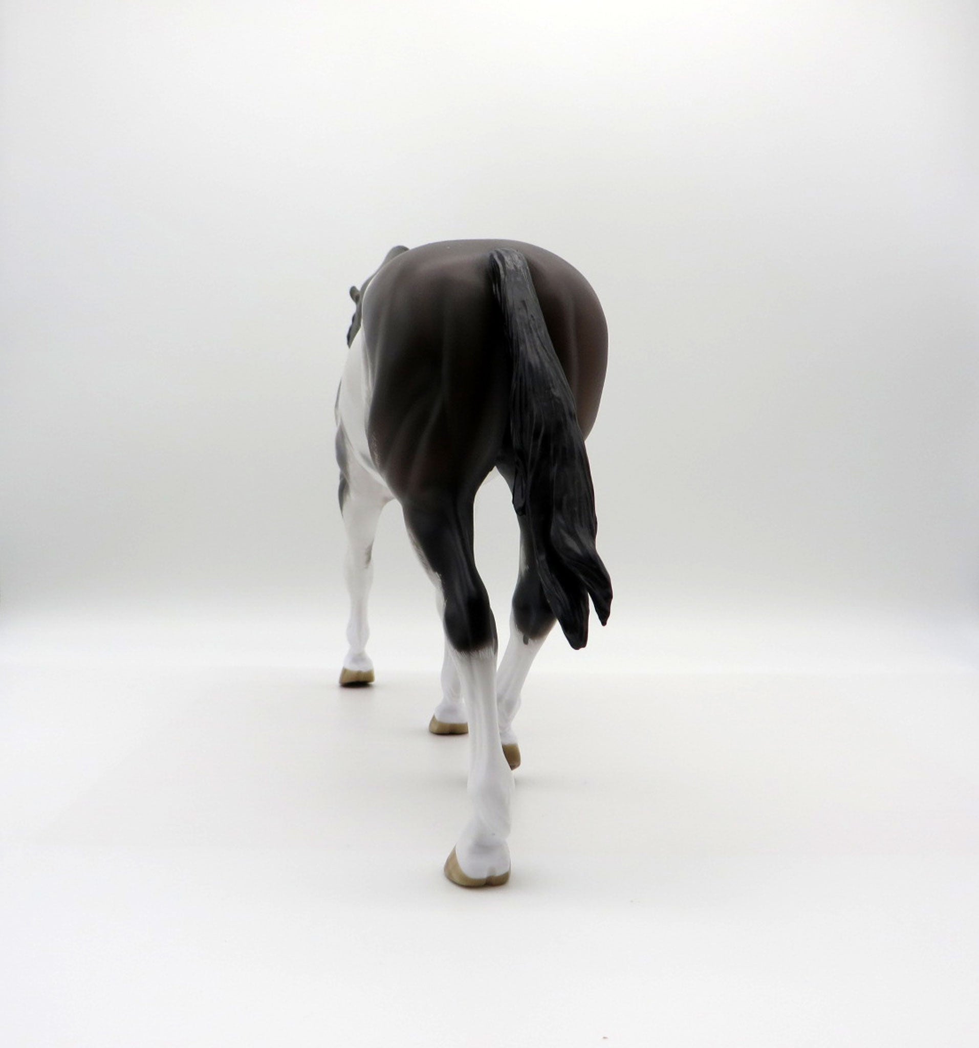 Inversion-OOAK Bay Roan Pinto Irish Draft  4/26/21