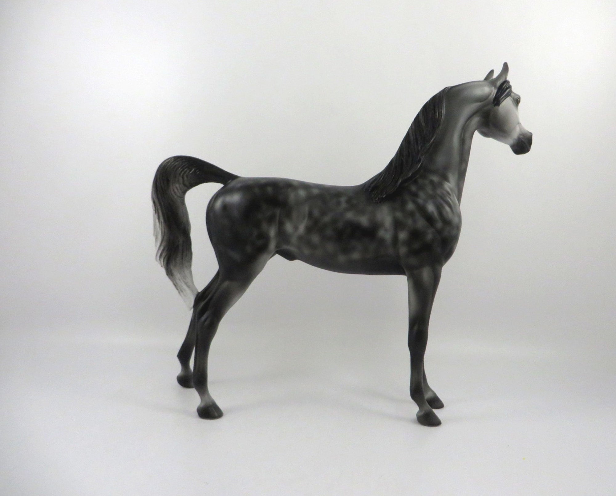 Irish Eyes-OOAK Dapple Grey Arabian  2/24/21