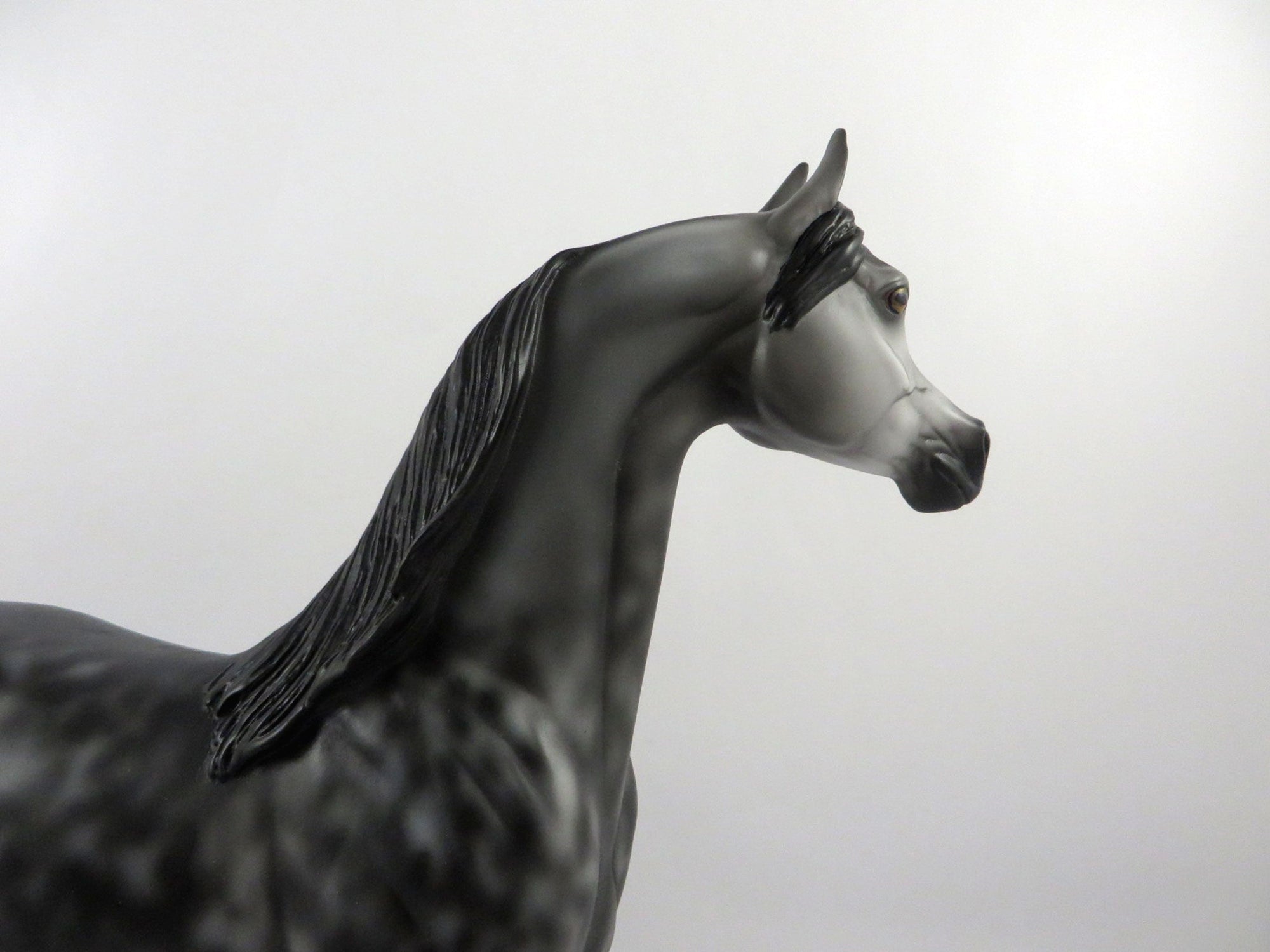 Irish Eyes-OOAK Dapple Grey Arabian  2/24/21