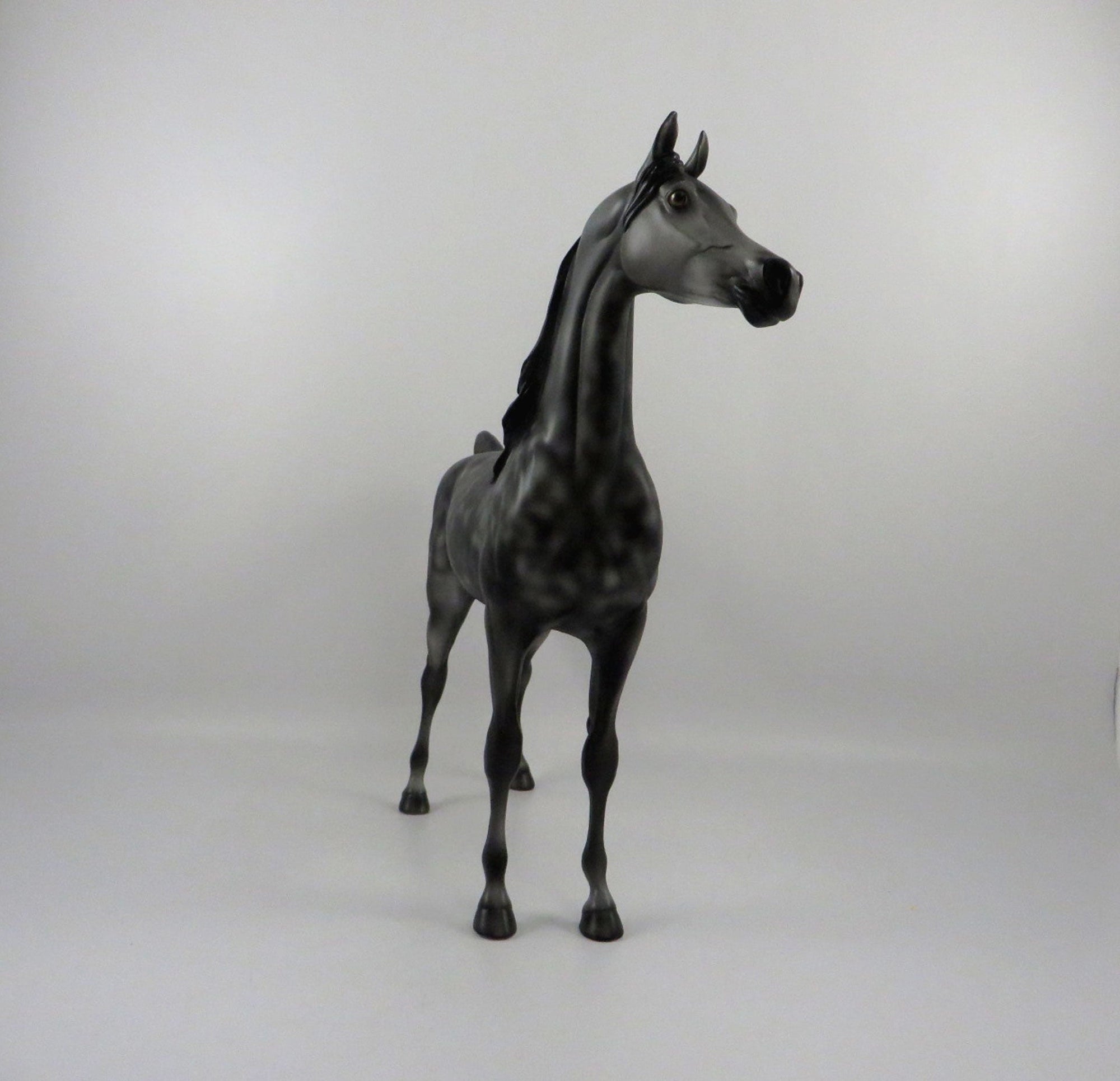 Irish Eyes-OOAK Dapple Grey Arabian  2/24/21