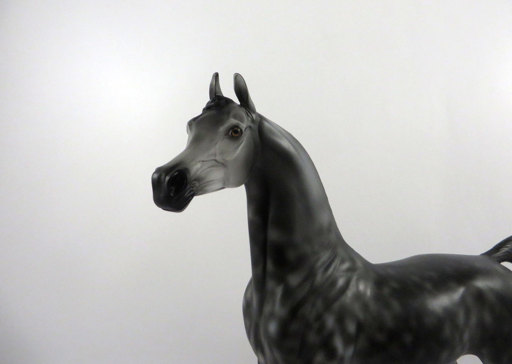 Irish Eyes-OOAK Dapple Grey Arabian  2/24/21