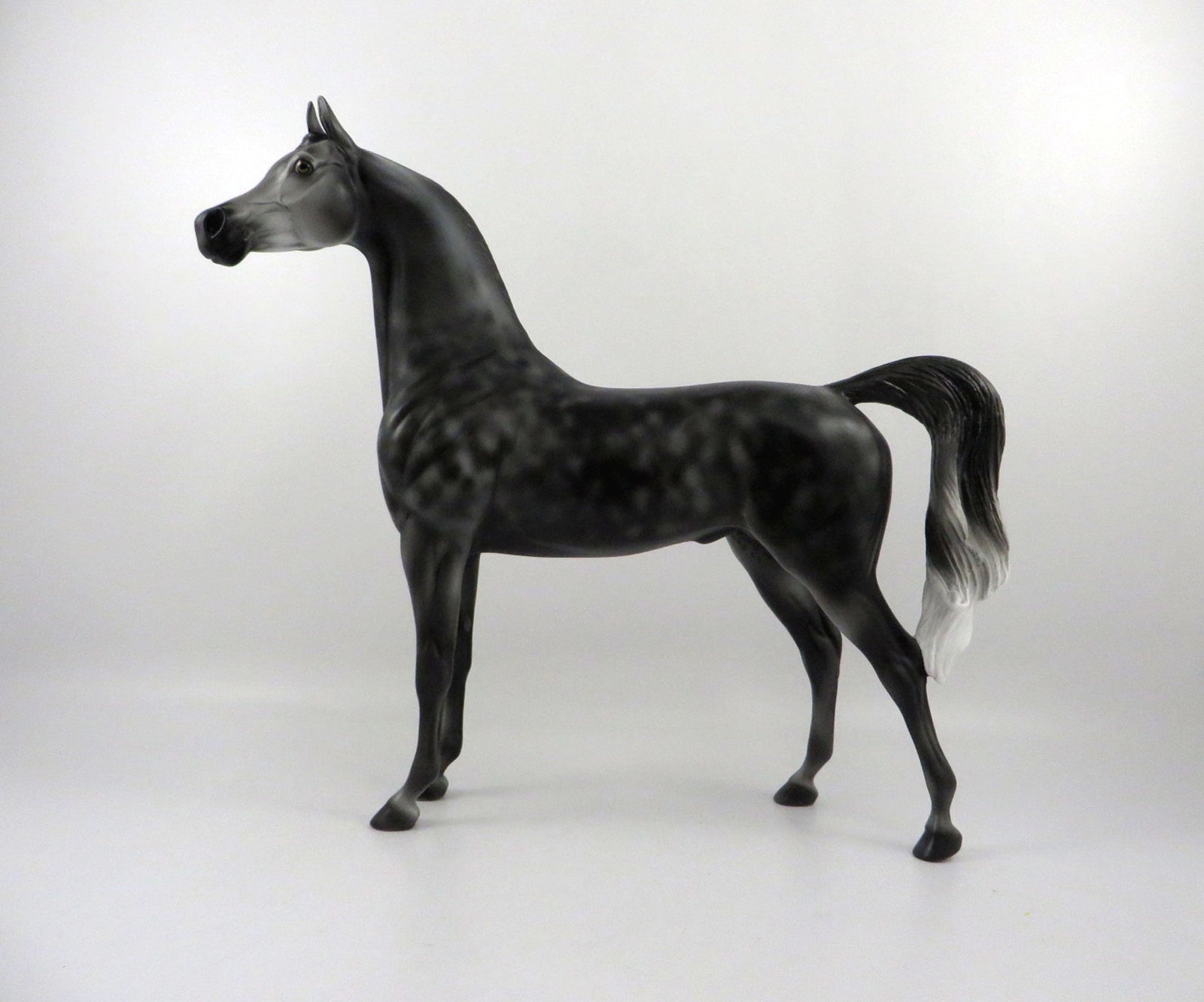 Irish Eyes-OOAK Dapple Grey Arabian  2/24/21