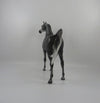 Irish Eyes-OOAK Dapple Grey Arabian  2/24/21