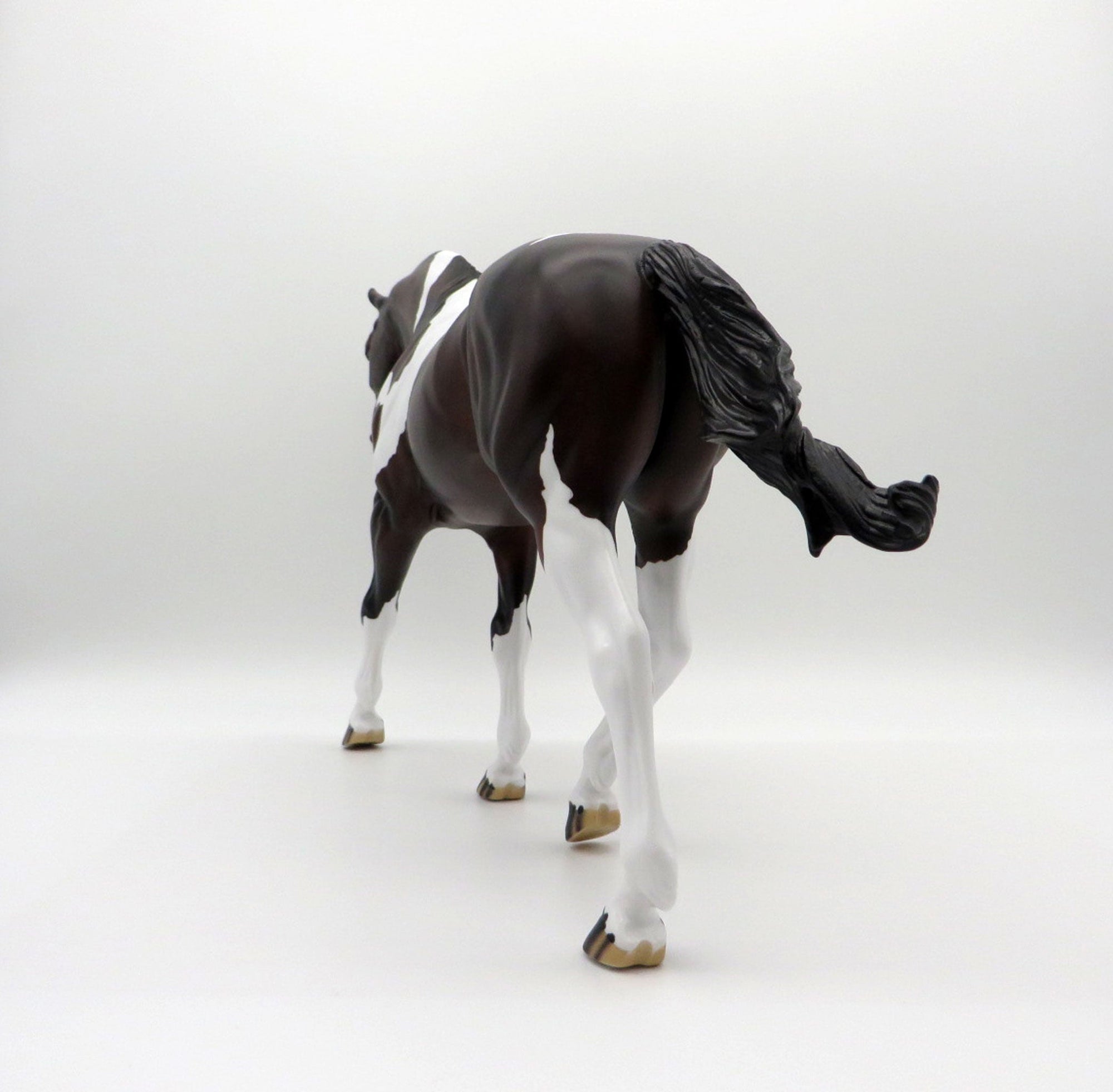 Larkspur-LE-15 BAY PAINT IRISH DRAFT SHCF 2021