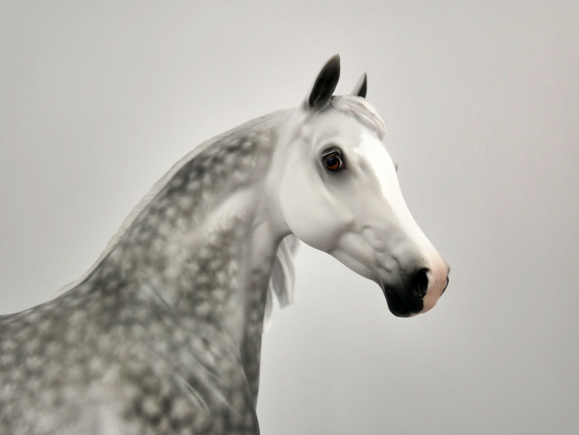 ISADORA -OOAK DAPPLE GREY ARABIAN  MARE BY SHERYL LEISURE 11/24/20