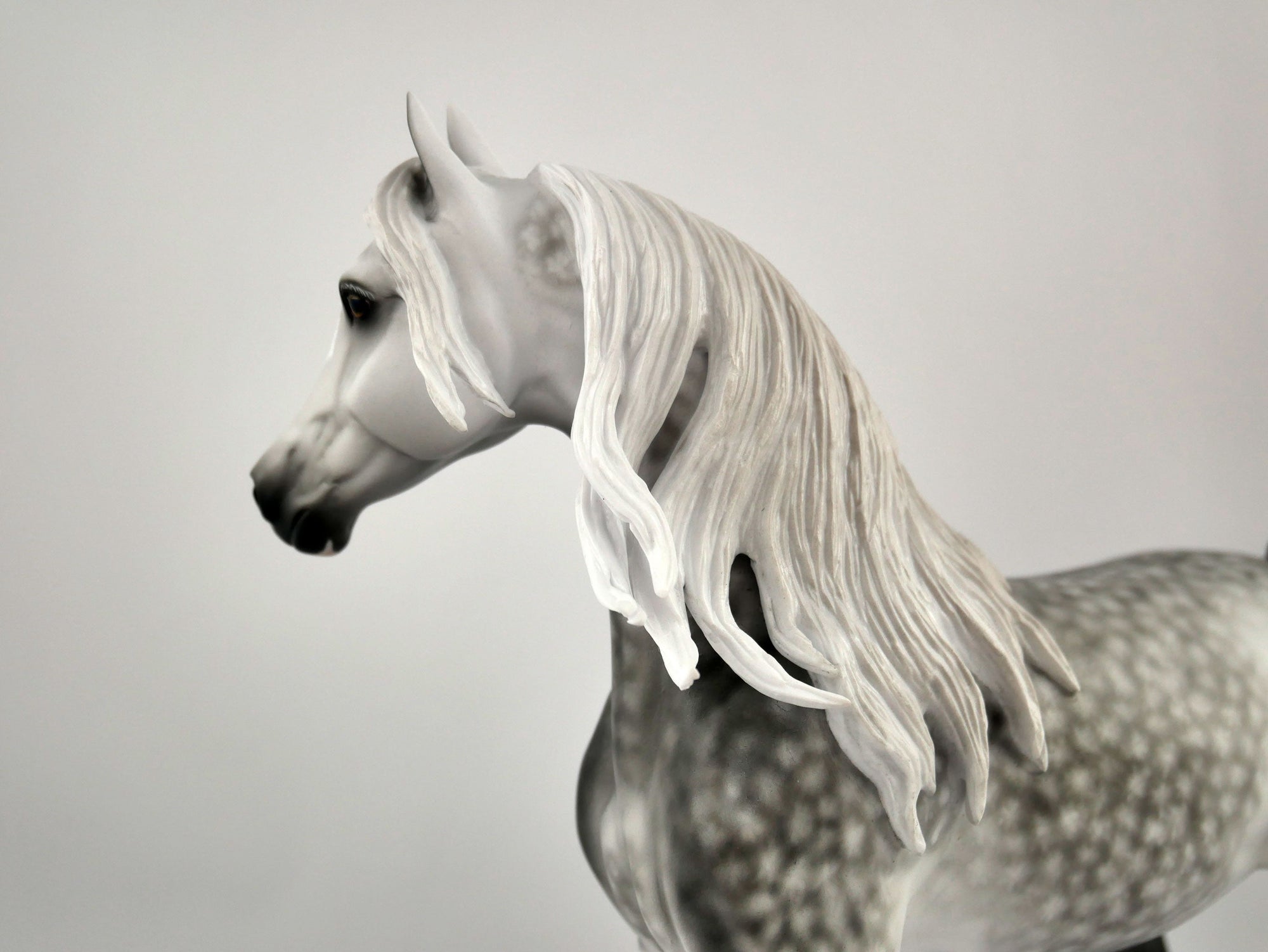 ISADORA -OOAK DAPPLE GREY ARABIAN  MARE BY SHERYL LEISURE 11/24/20