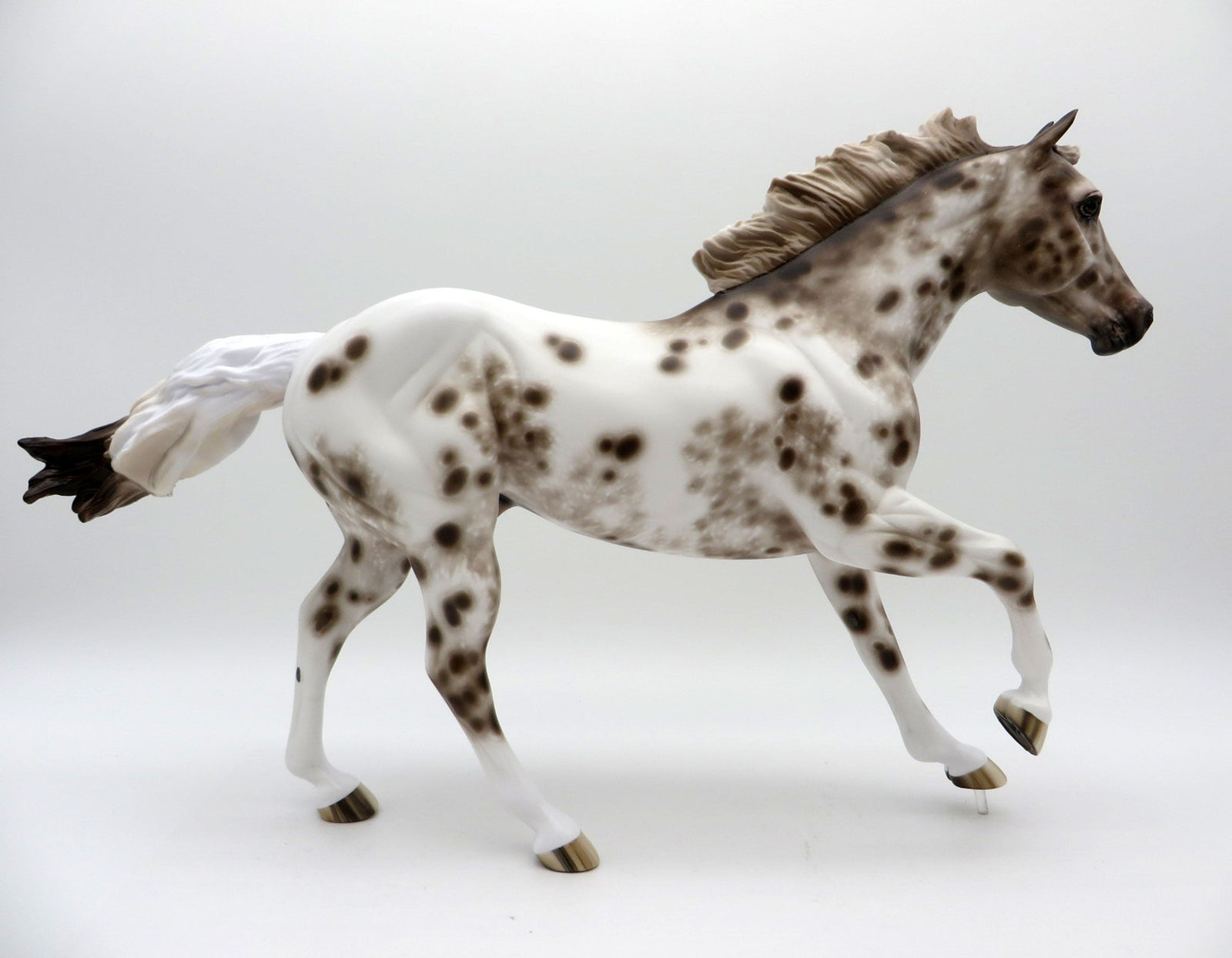 Island in the Sun-OOAK Chestnut Appaloosa FQH Painted by Sheryl Leisure 8/9/21