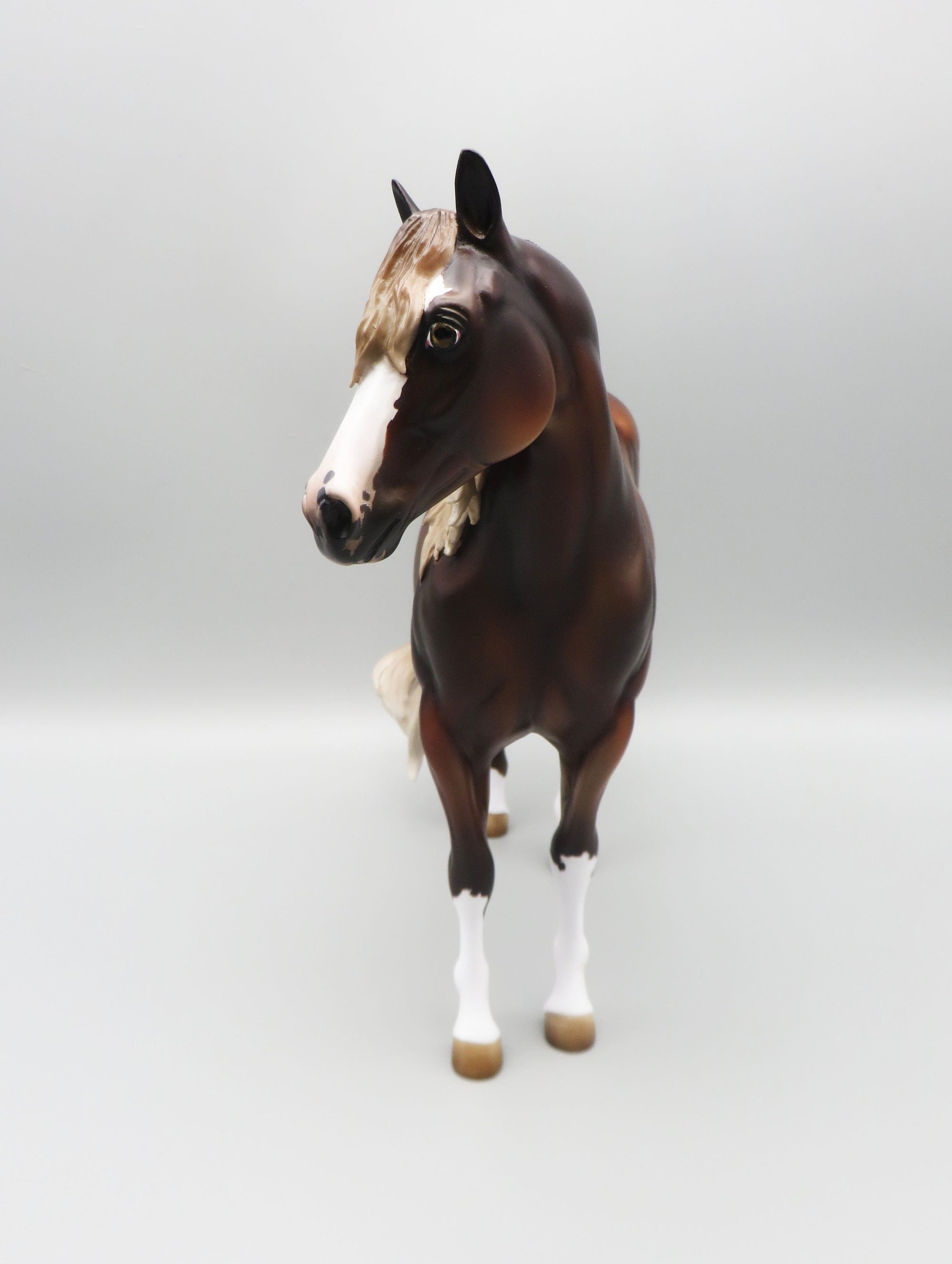 István - OOAK - Dappled Silver Bay Ideal Stock Horse By Jess Hamill - Best Offer 5/30/23