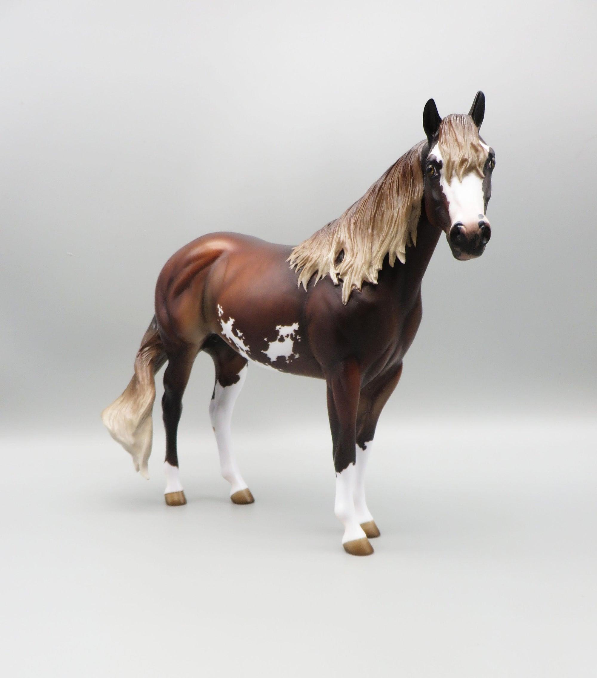 István - OOAK - Dappled Silver Bay Ideal Stock Horse By Jess Hamill - Best Offer 5/30/23