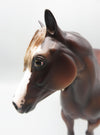 Istvan - OOAK - Dappled Silver Bay Ideal Stock Horse By Jess Hamill - Best Offer 5/30/23