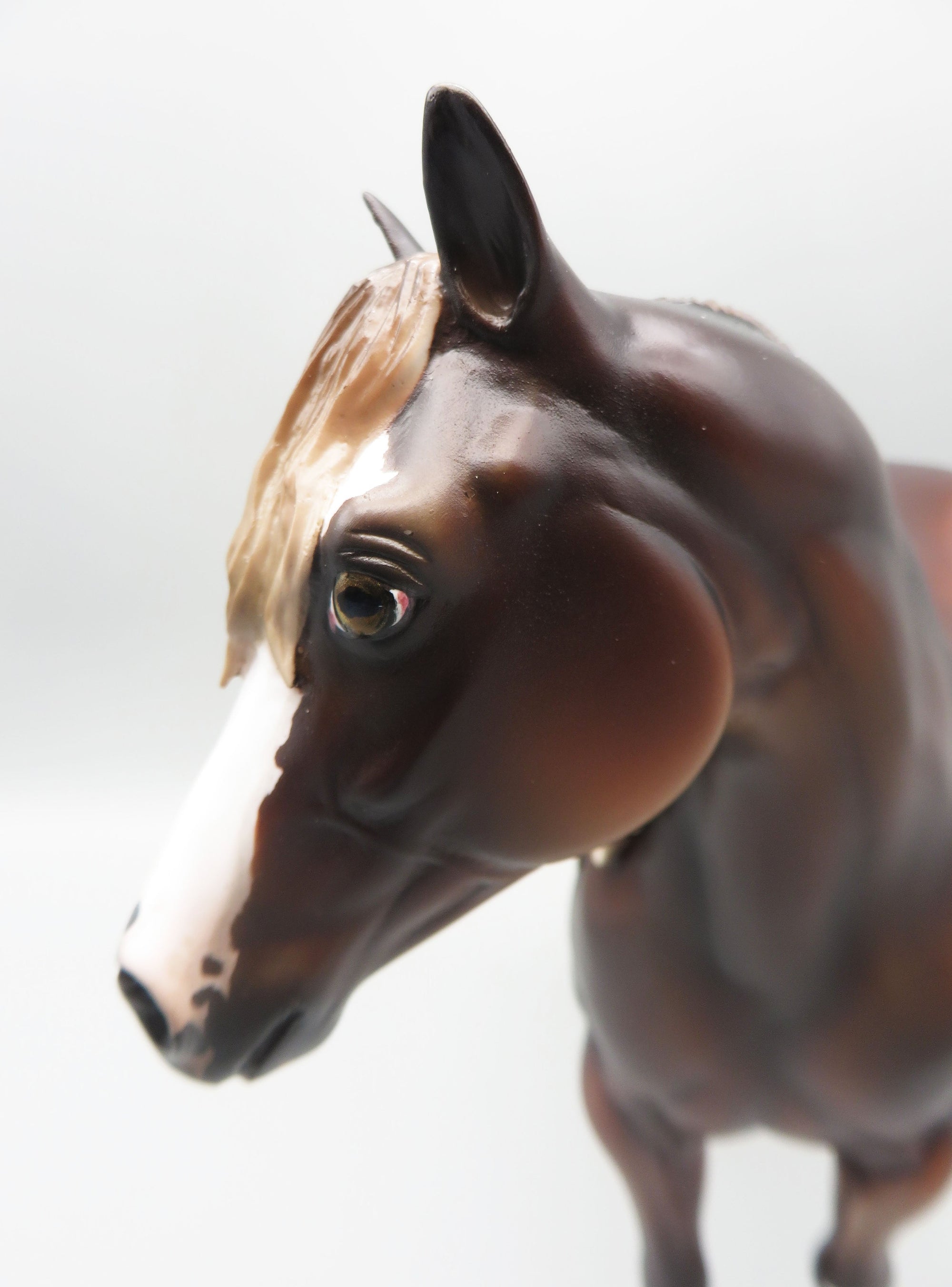István - OOAK - Dappled Silver Bay Ideal Stock Horse By Jess Hamill - Best Offer 5/30/23