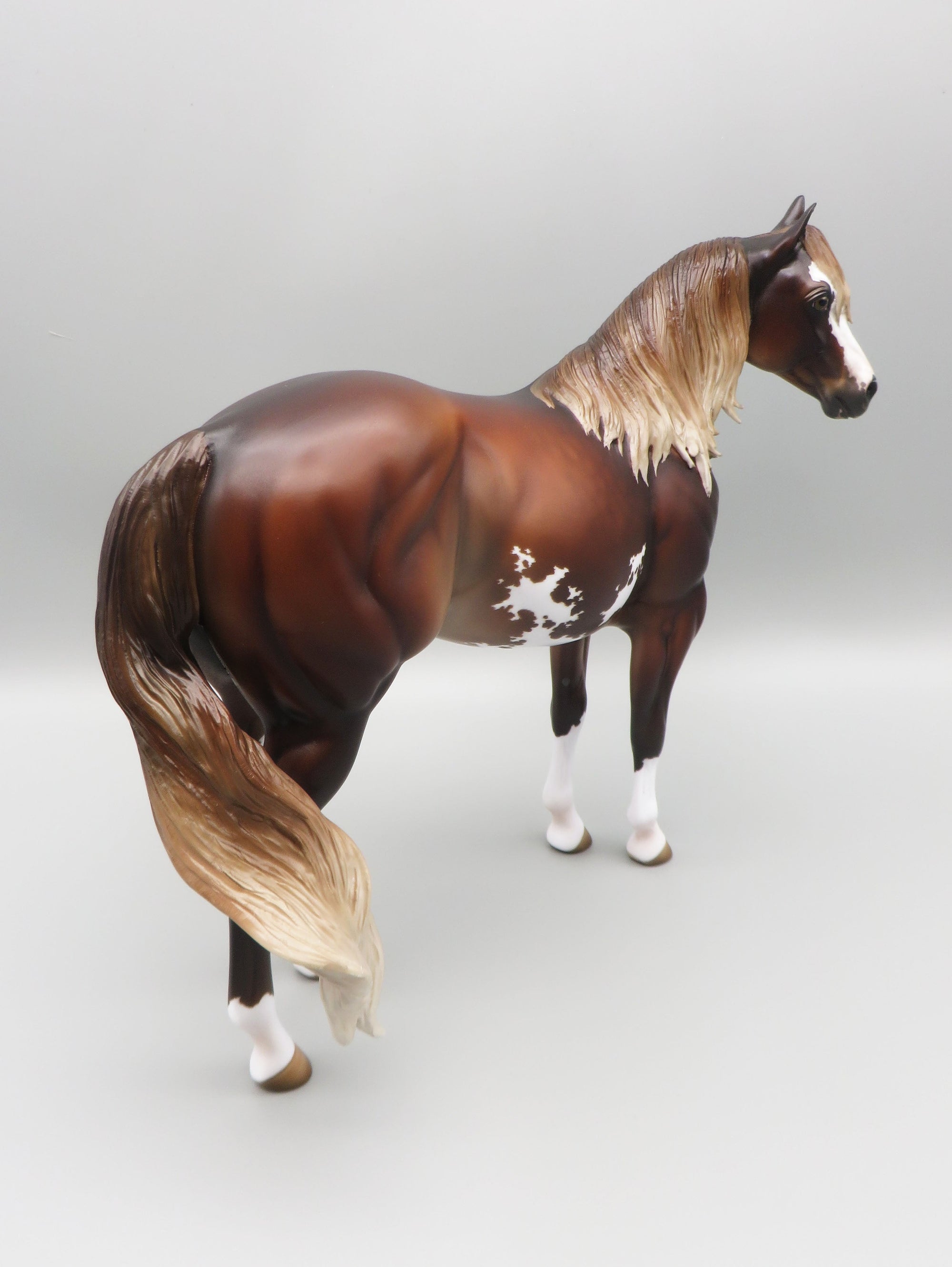 István - OOAK - Dappled Silver Bay Ideal Stock Horse By Jess Hamill - Best Offer 5/30/23