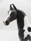 I Want To Be Him - OOAK - Custom Blue Black Tobiano Arabian Marwari By  Ellen Robbins - SHCF23