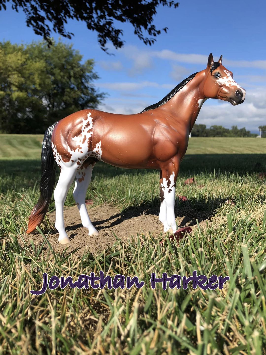 Mr. Harker LE 15 By Ellen Robbins Classic Literature Series 2023 CL23