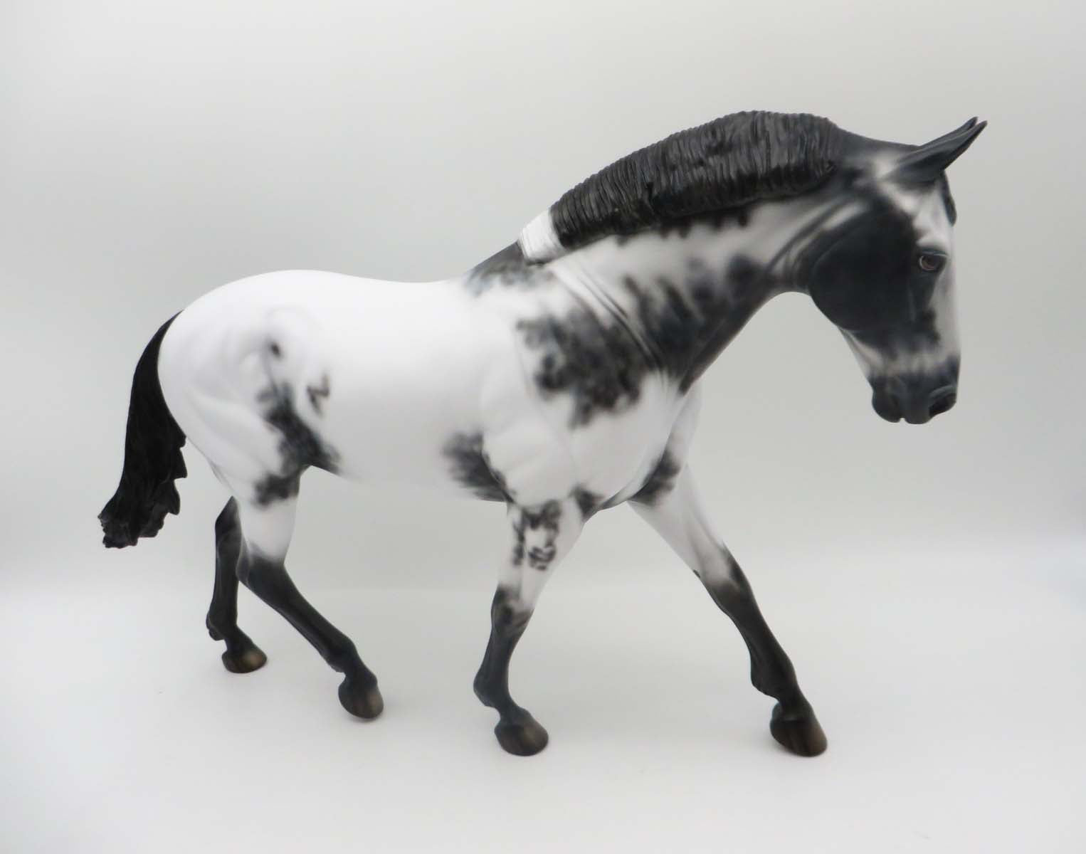 Jackaroo - OOAK - Few Spot Appaloosa Irish Draught By Dawn Quick - SHCF23
