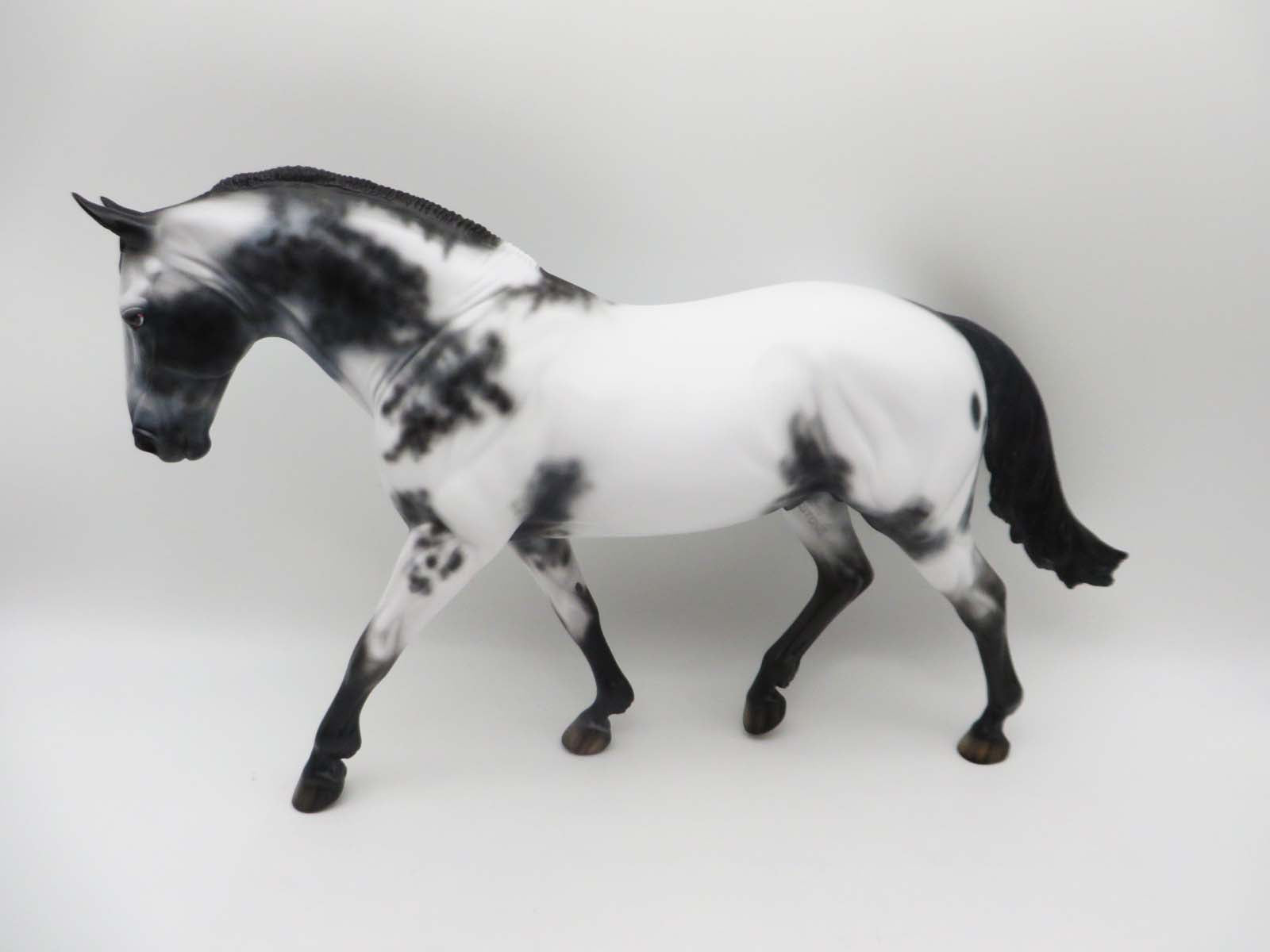 Jackaroo - OOAK - Few Spot Appaloosa Irish Draught By Dawn Quick - SHCF23