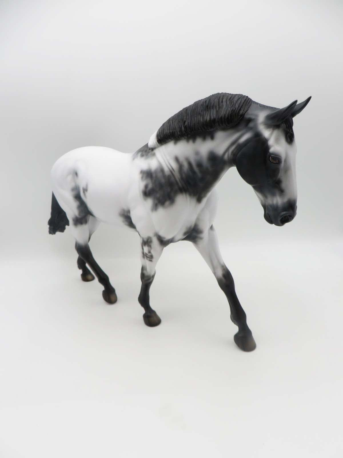 Jackaroo - OOAK - Few Spot Appaloosa Irish Draught By Dawn Quick - SHCF23