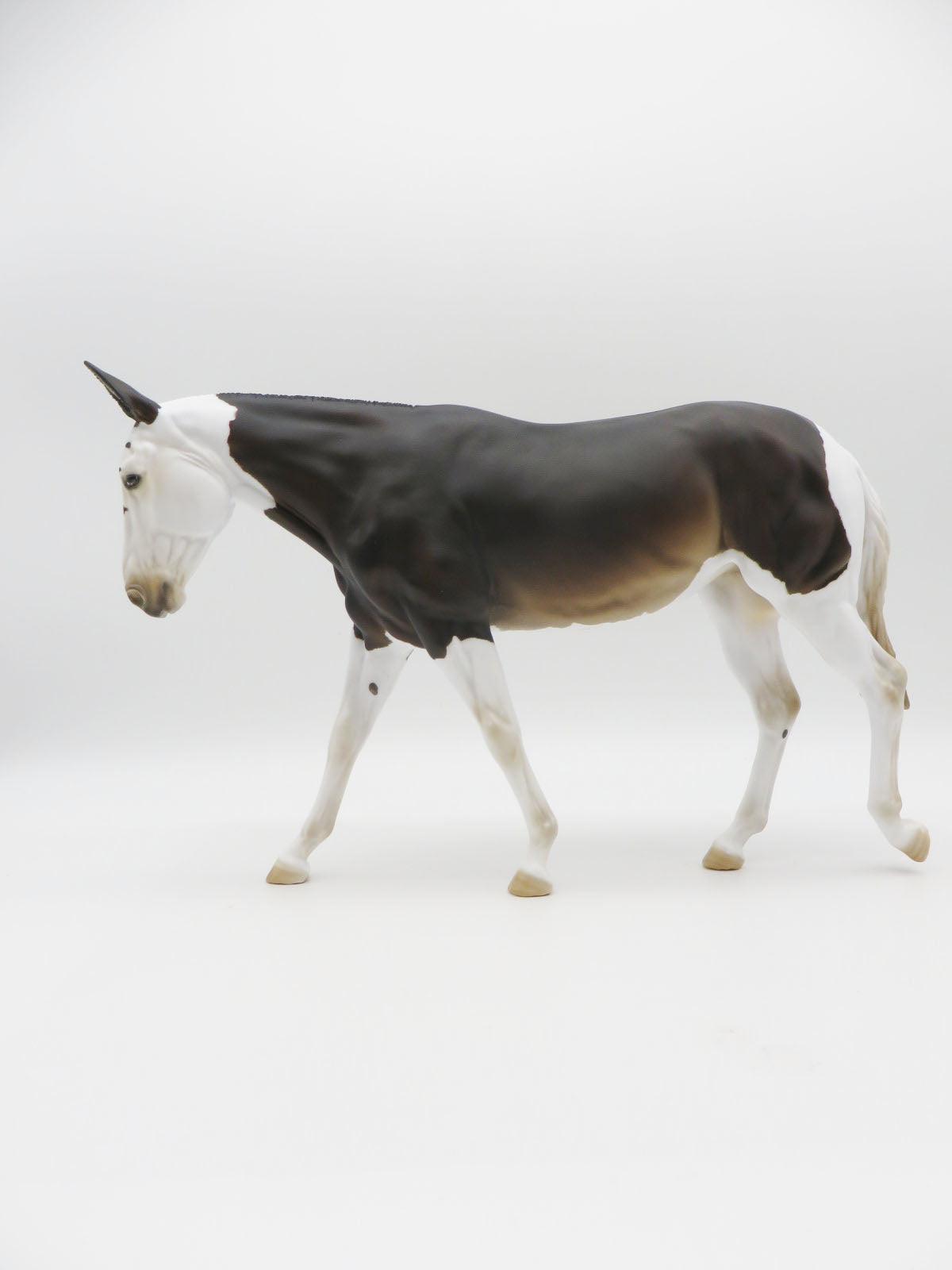 Jackpot - OOAK Bay Reverse Dapple Spot Mule By Myla Pearce 9/30/22