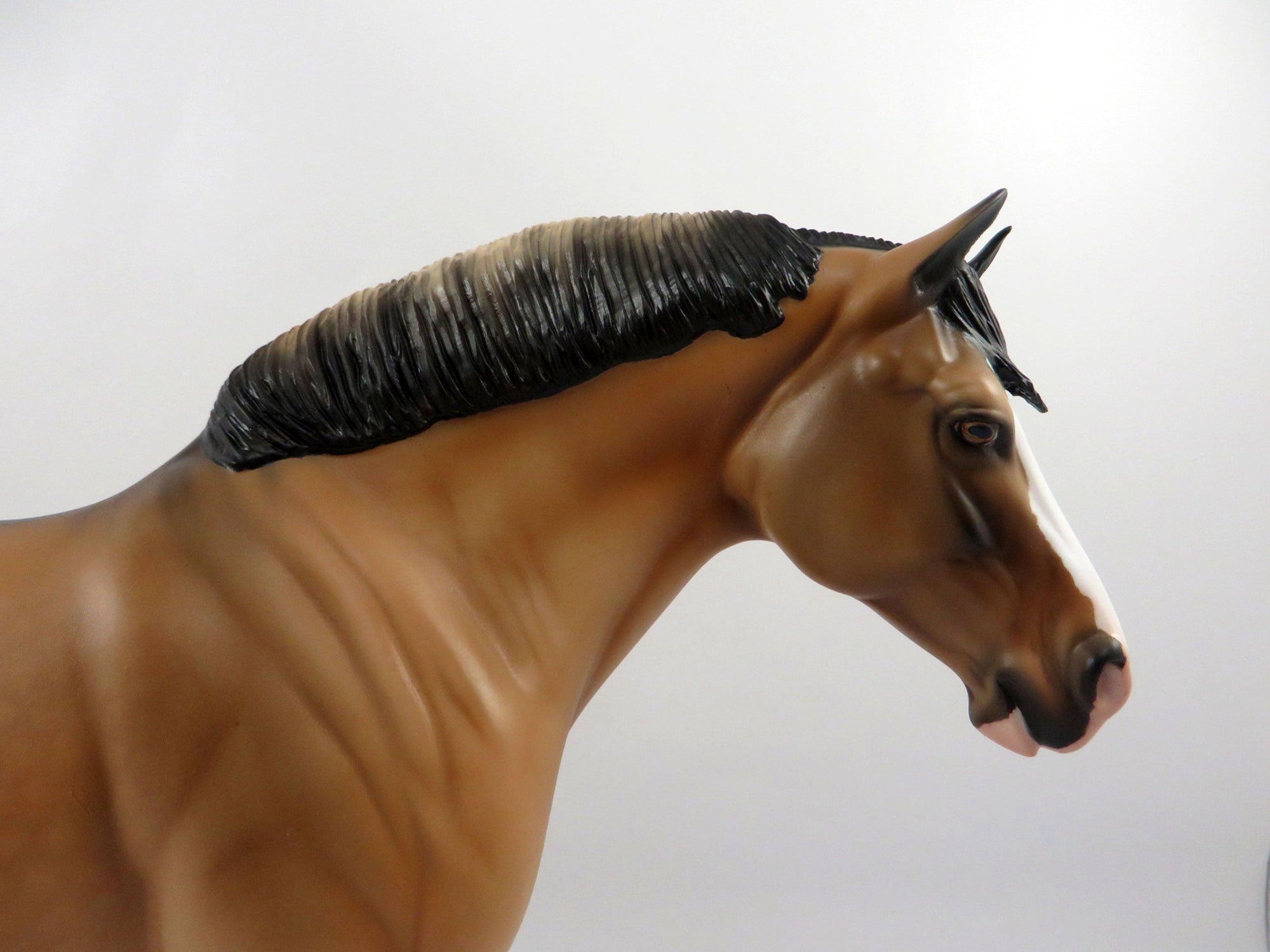 Jackpot-OOAK Buckskin Heavy Draft Mare 3/5/21