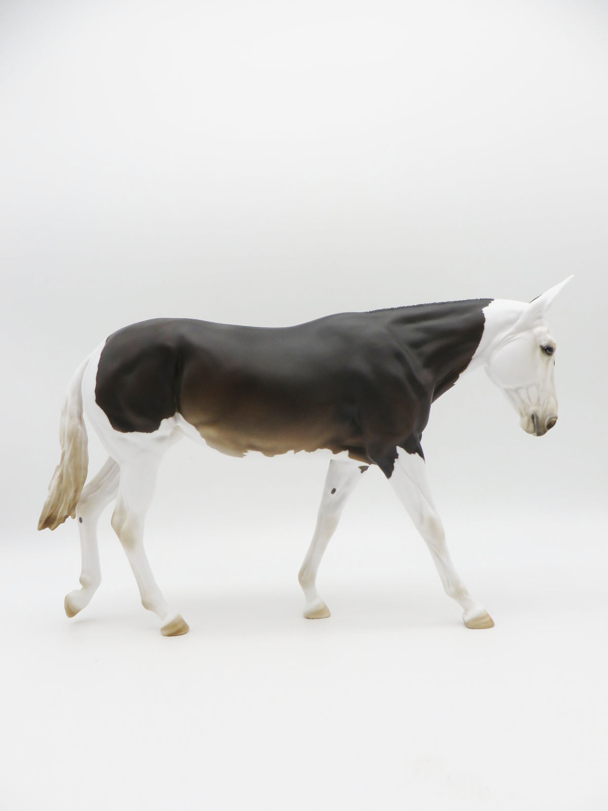 Jackpot - OOAK Bay Reverse Dapple Spot Mule By Myla Pearce 9/30/22