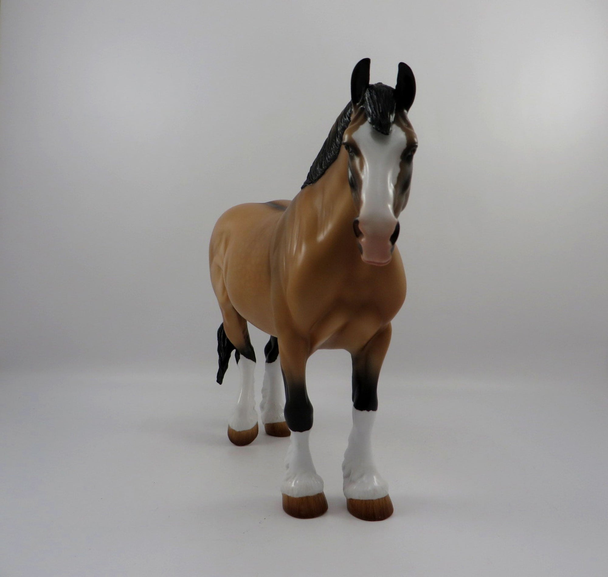 Jackpot-OOAK Buckskin Heavy Draft Mare 3/5/21